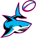 Miami Sharks