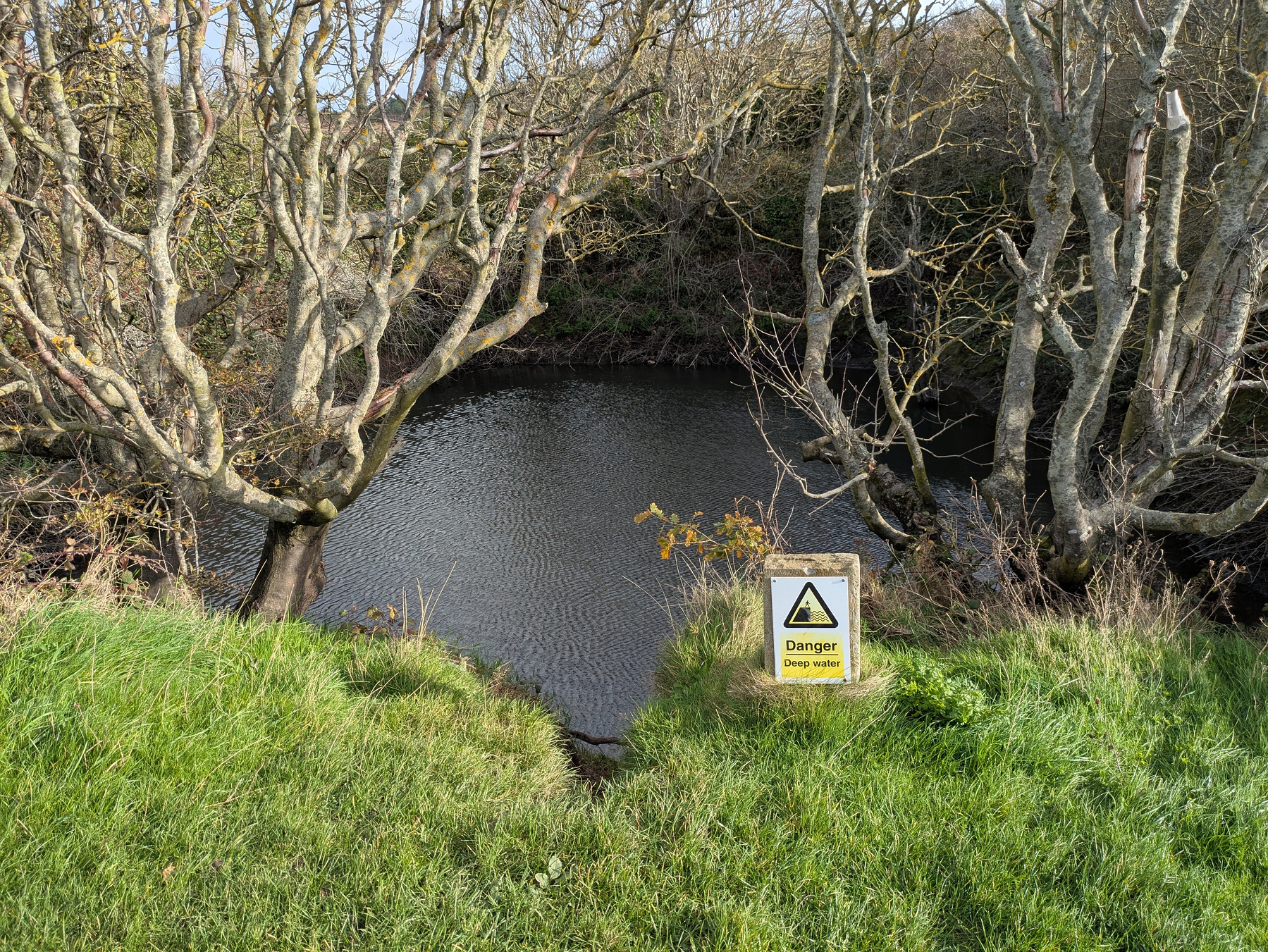 A tranquil pond is surrounded by leafless trees and greenery, with a Danger Deep Water sign at the edge.