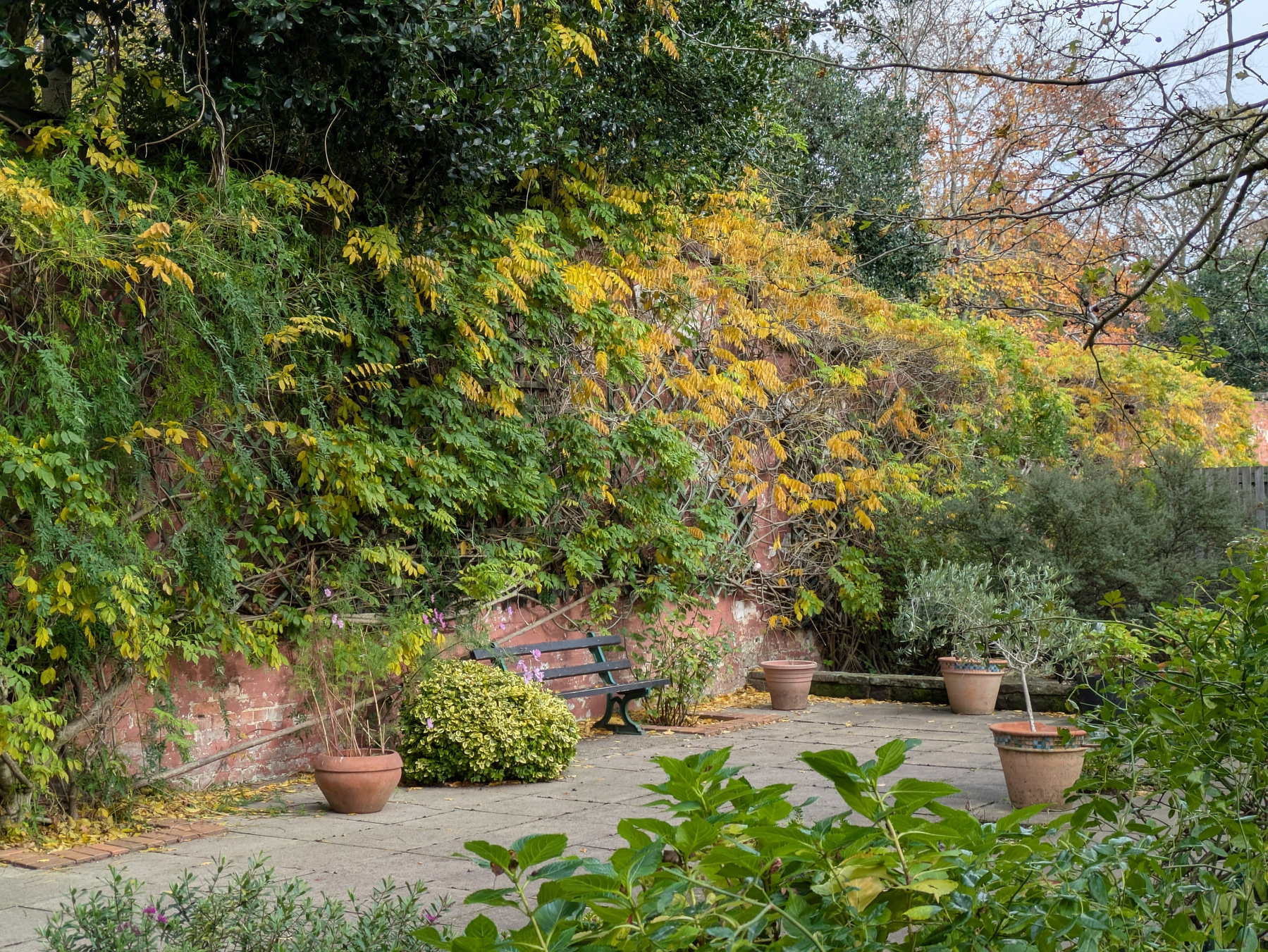 A peaceful garden scene features a wooden bench and several potted plants against a lush backdrop of green and yellow foliage.
