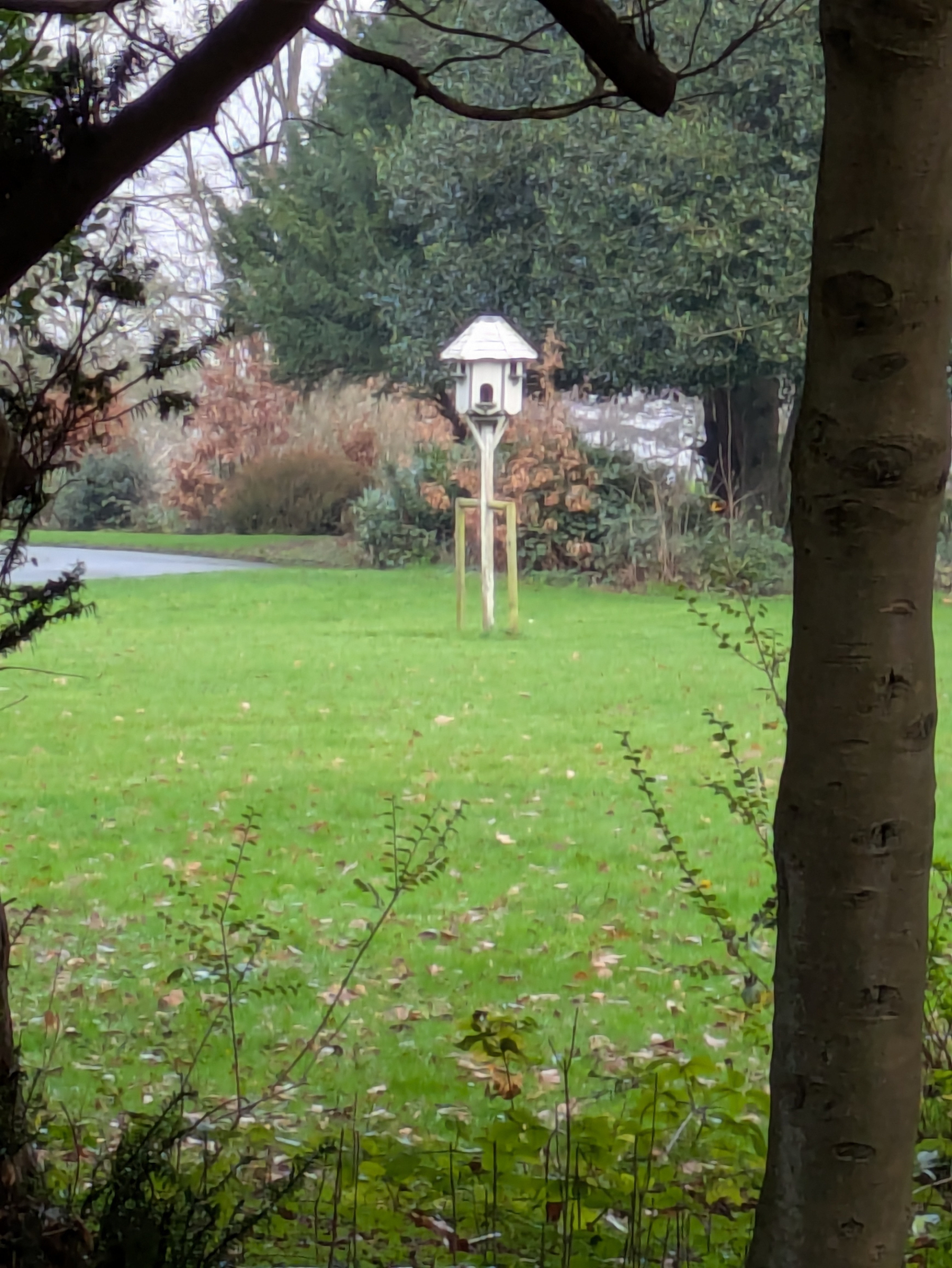 A birdhouse stands on a grassy lawn surrounded by trees and shrubs.