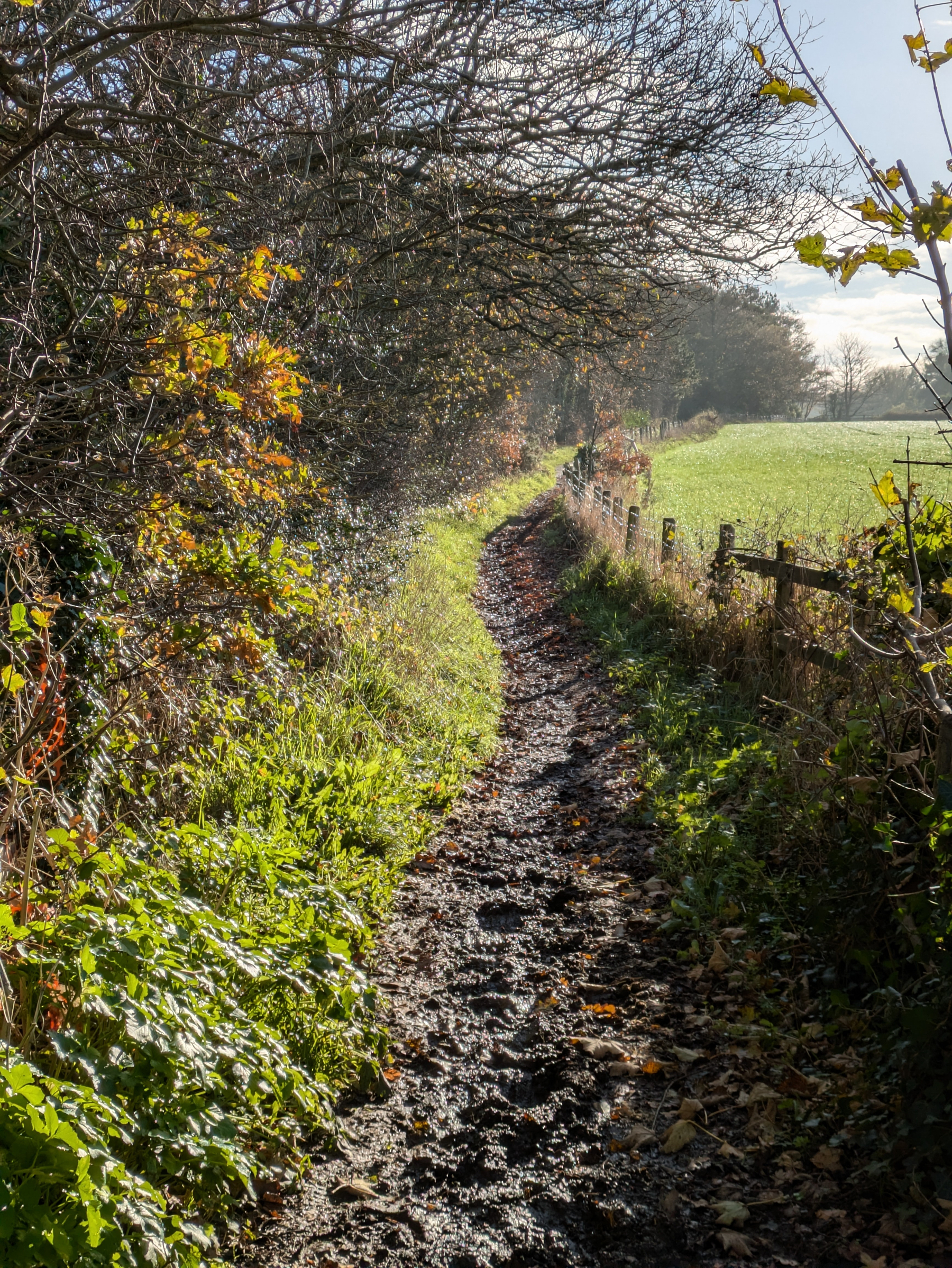 A muddy, narrow path winds through a countryside landscape with trees and sunlight filtering through.
