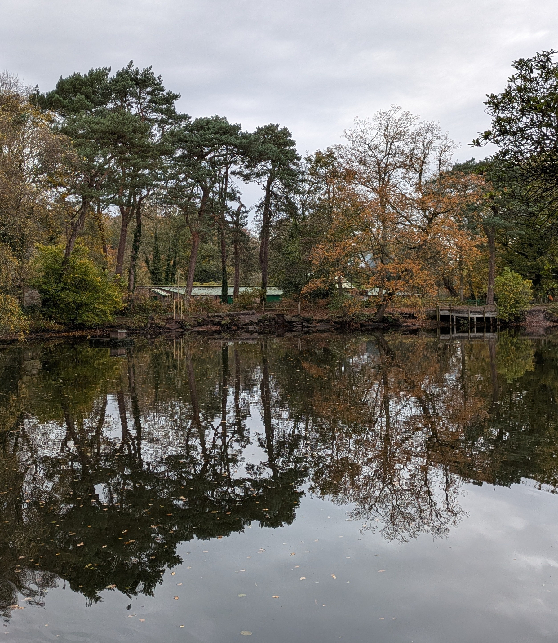 A tranquil pond reflects tall trees with autumn foliage under an overcast sky.