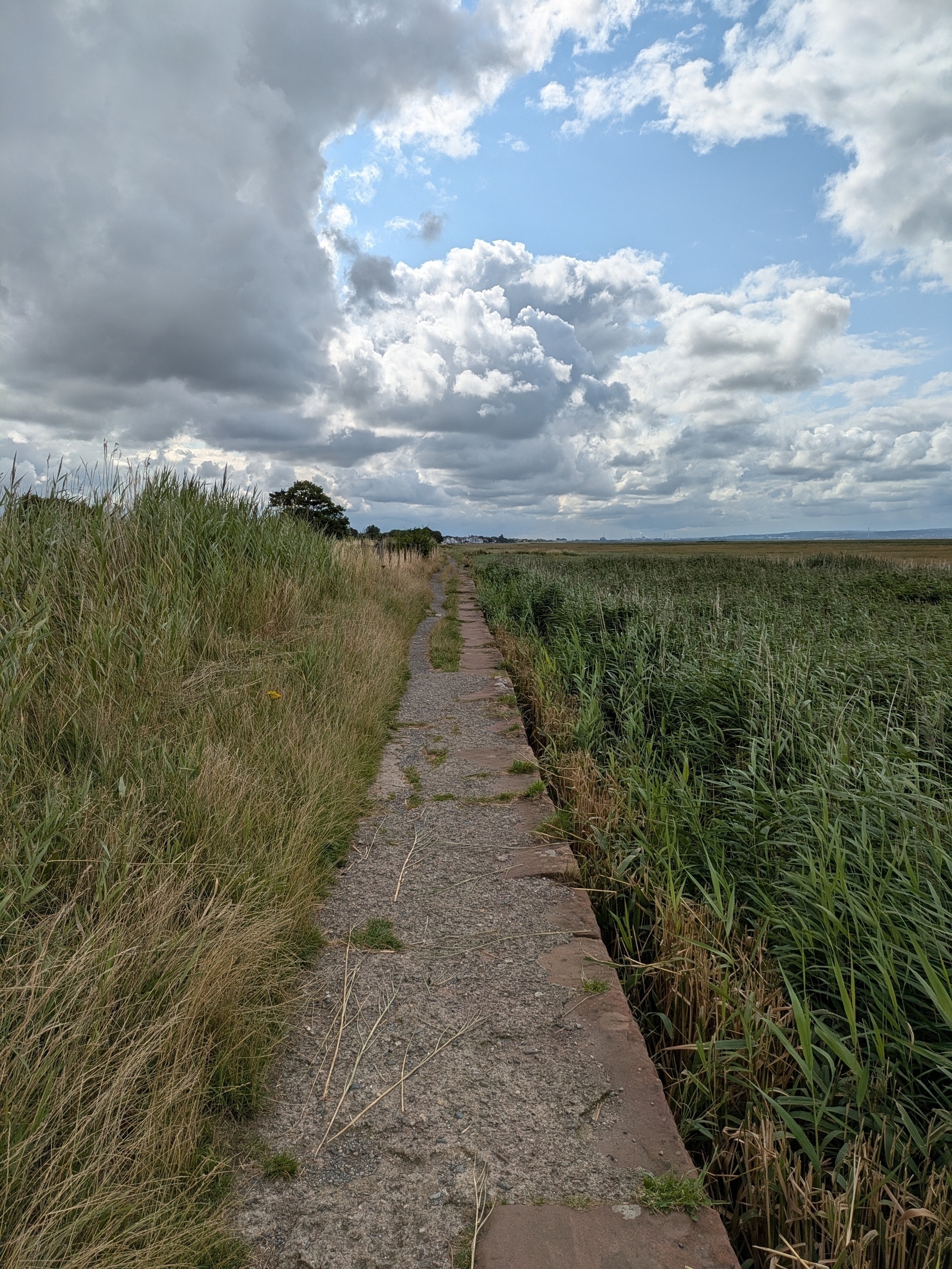 A narrow stone path winds through tall grass beneath a partly cloudy sky.