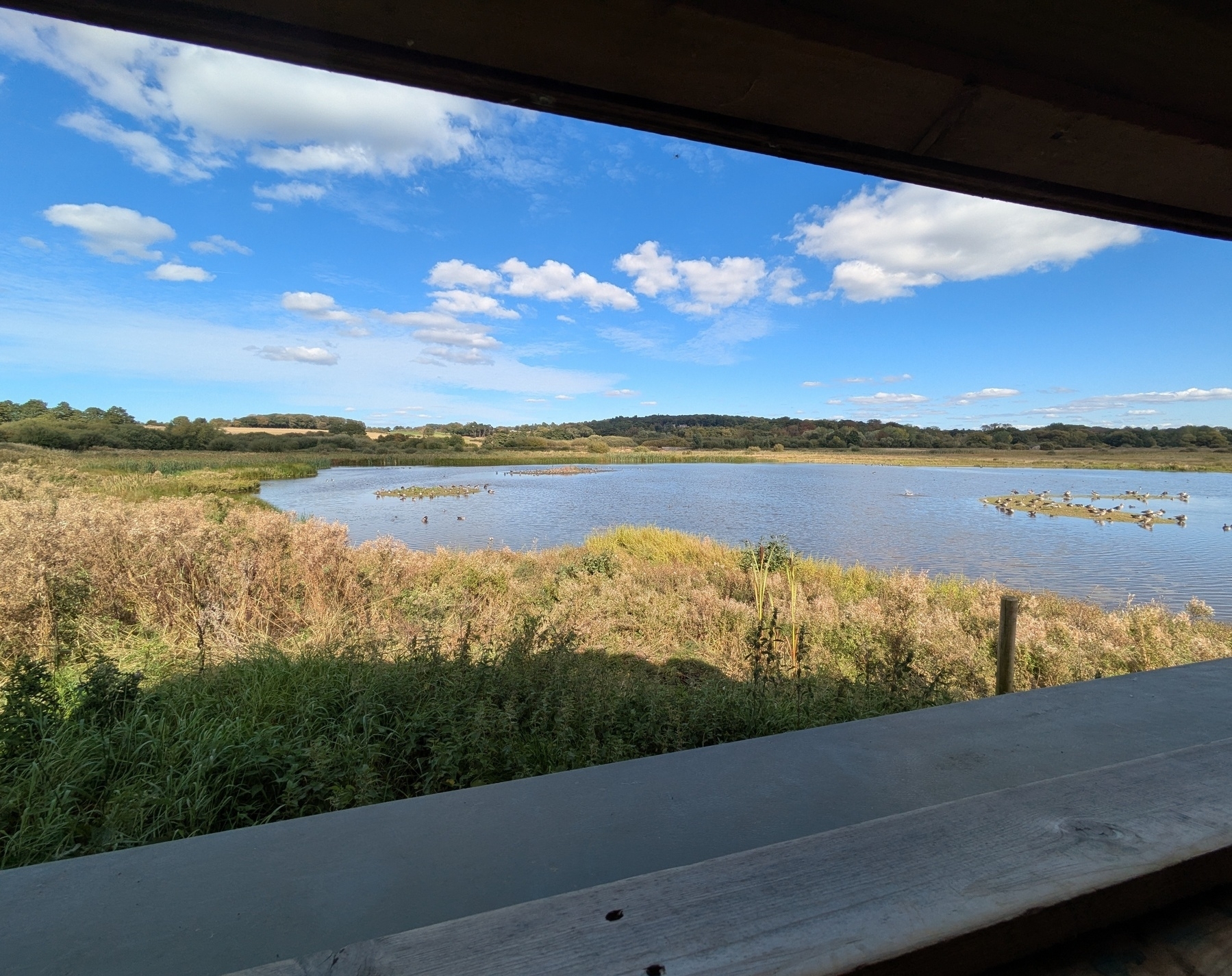 A scenic view from a bird hide overlooks a peaceful wetland with a blue sky above.