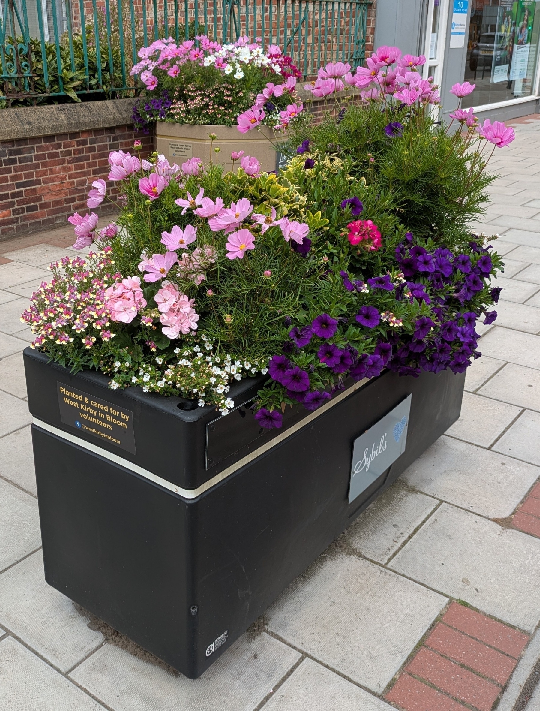 A rectangular planter on a sidewalk is filled with vibrant pink, purple, and white flowers. Another in the background against a low wall leading to a shop.