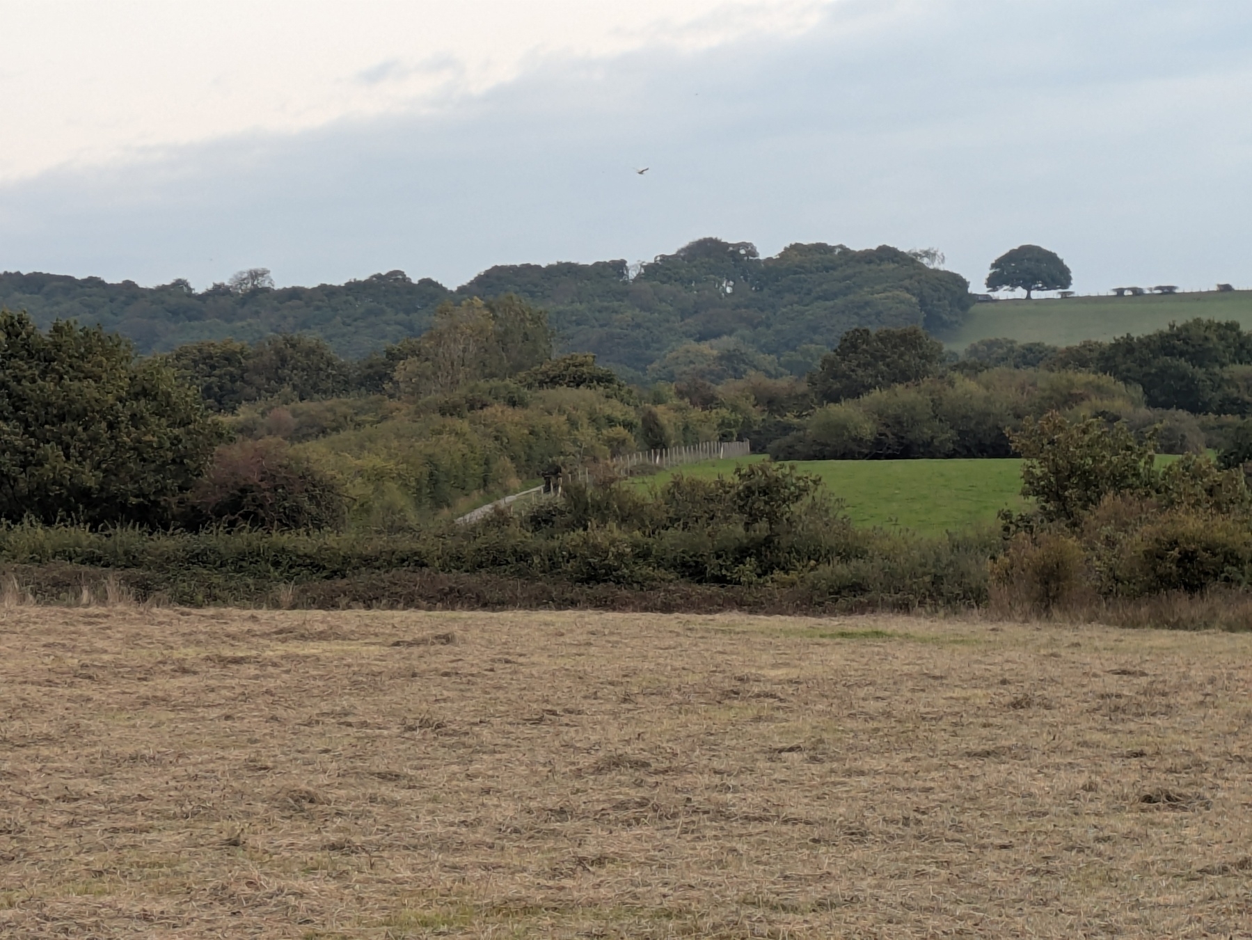 A rural landscape features fields, trees, and a distant path under a cloudy sky.