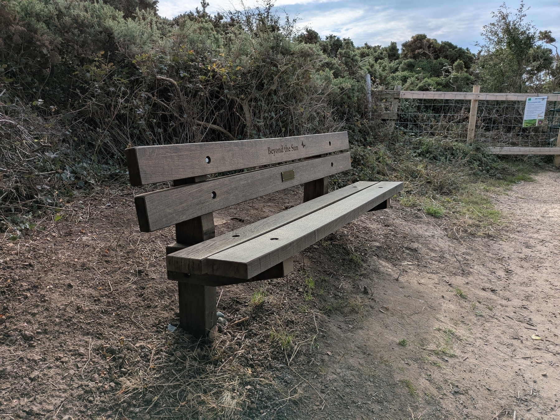 A wooden bench is situated along a dirt path surrounded by greenery and shrubs.