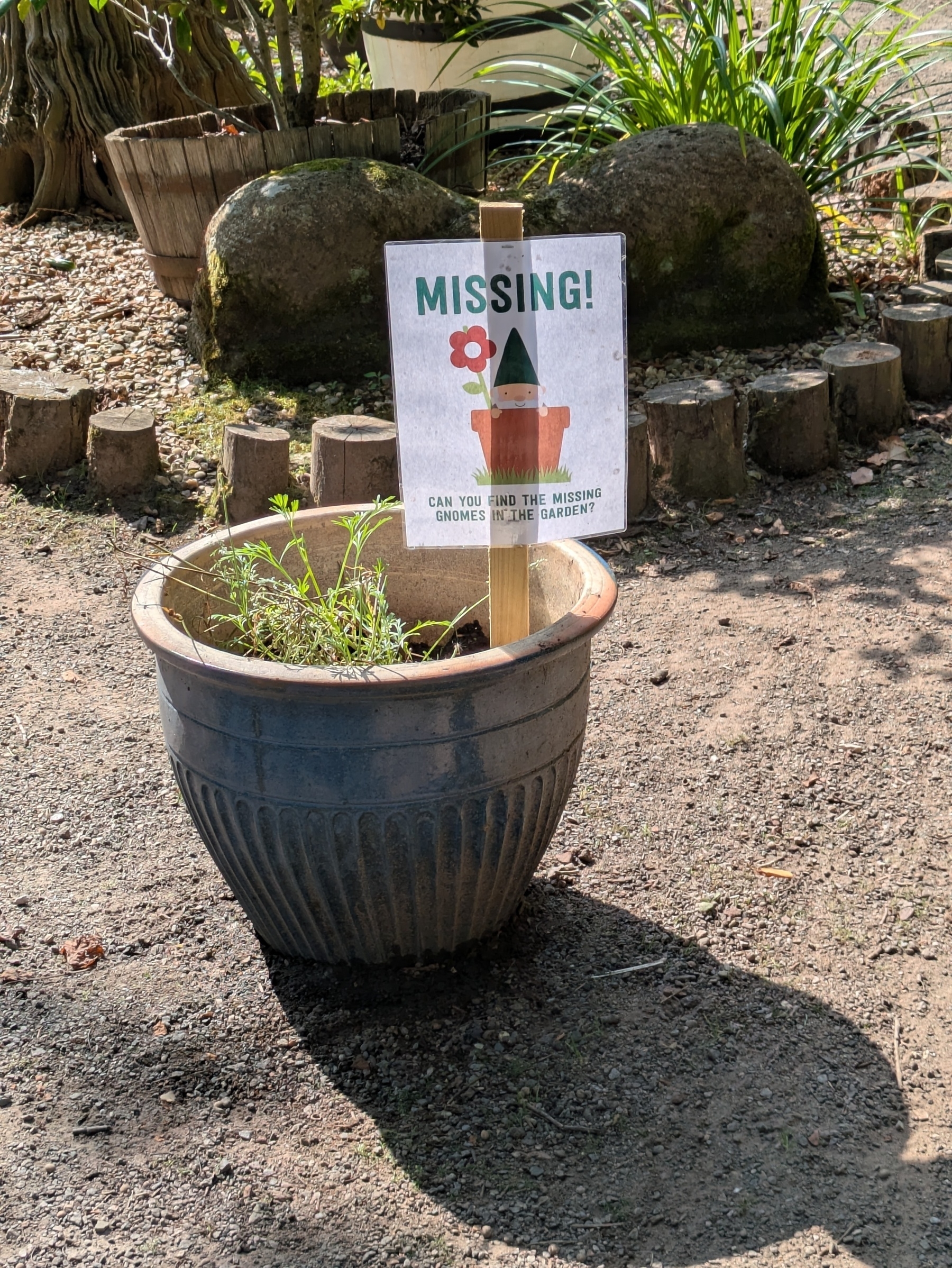A potted plant in a garden features a sign with the word "MISSING!" and an illustration of a garden gnome.