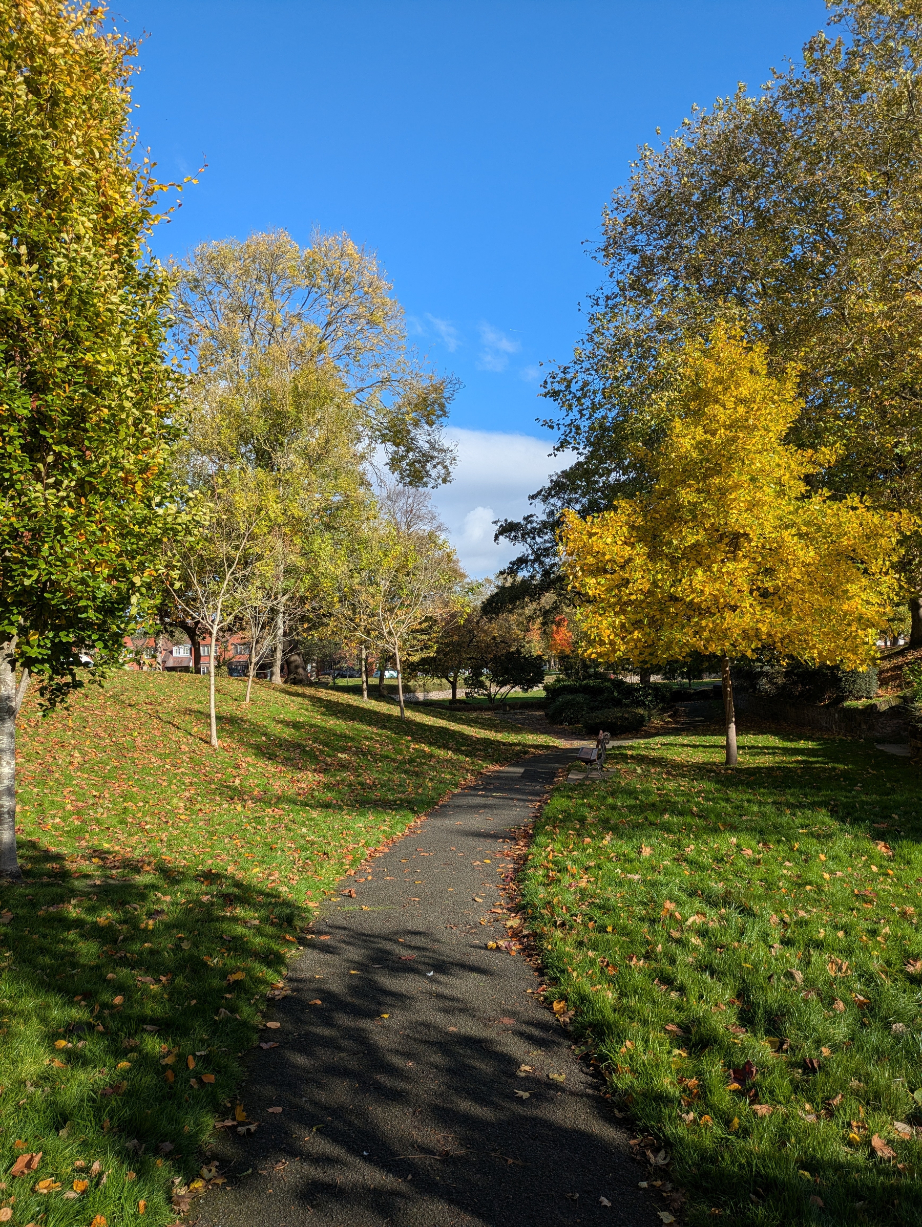 A sunny park features a path winding through green and yellow-leaved trees with a clear blue sky above.