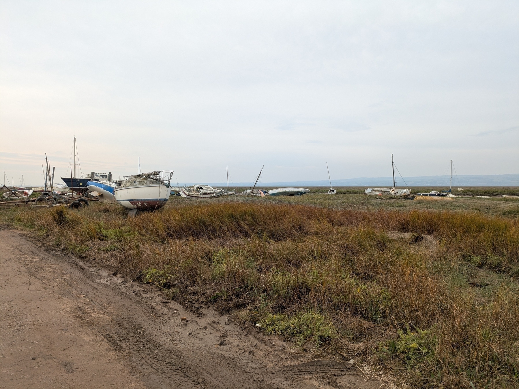A series of boats are grounded on a muddy shoreline with grassy patches under a cloudy sky.