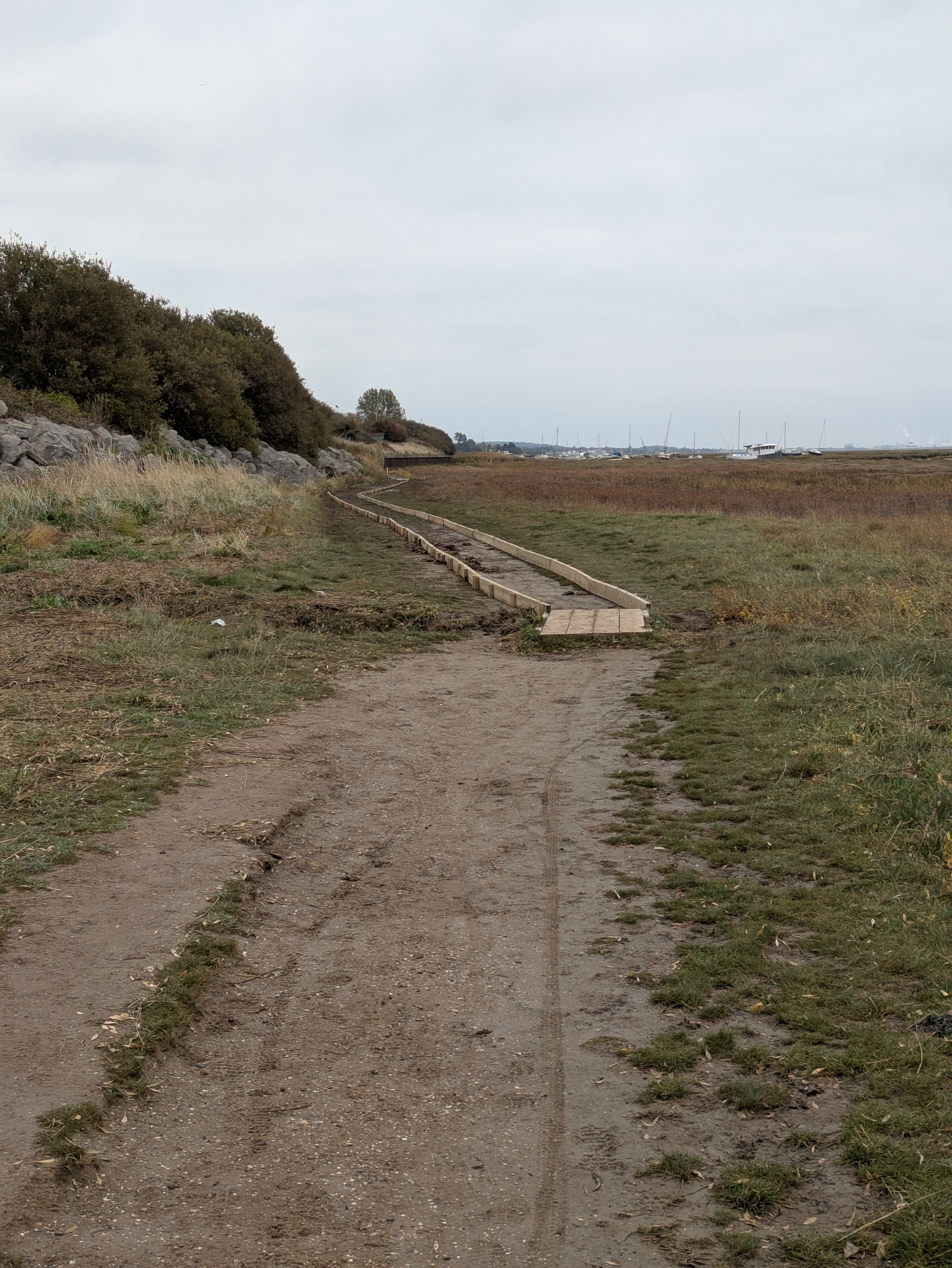 A narrow dirt path with a wooden boardwalk runs through a marshy area, bordered by trees on the left.