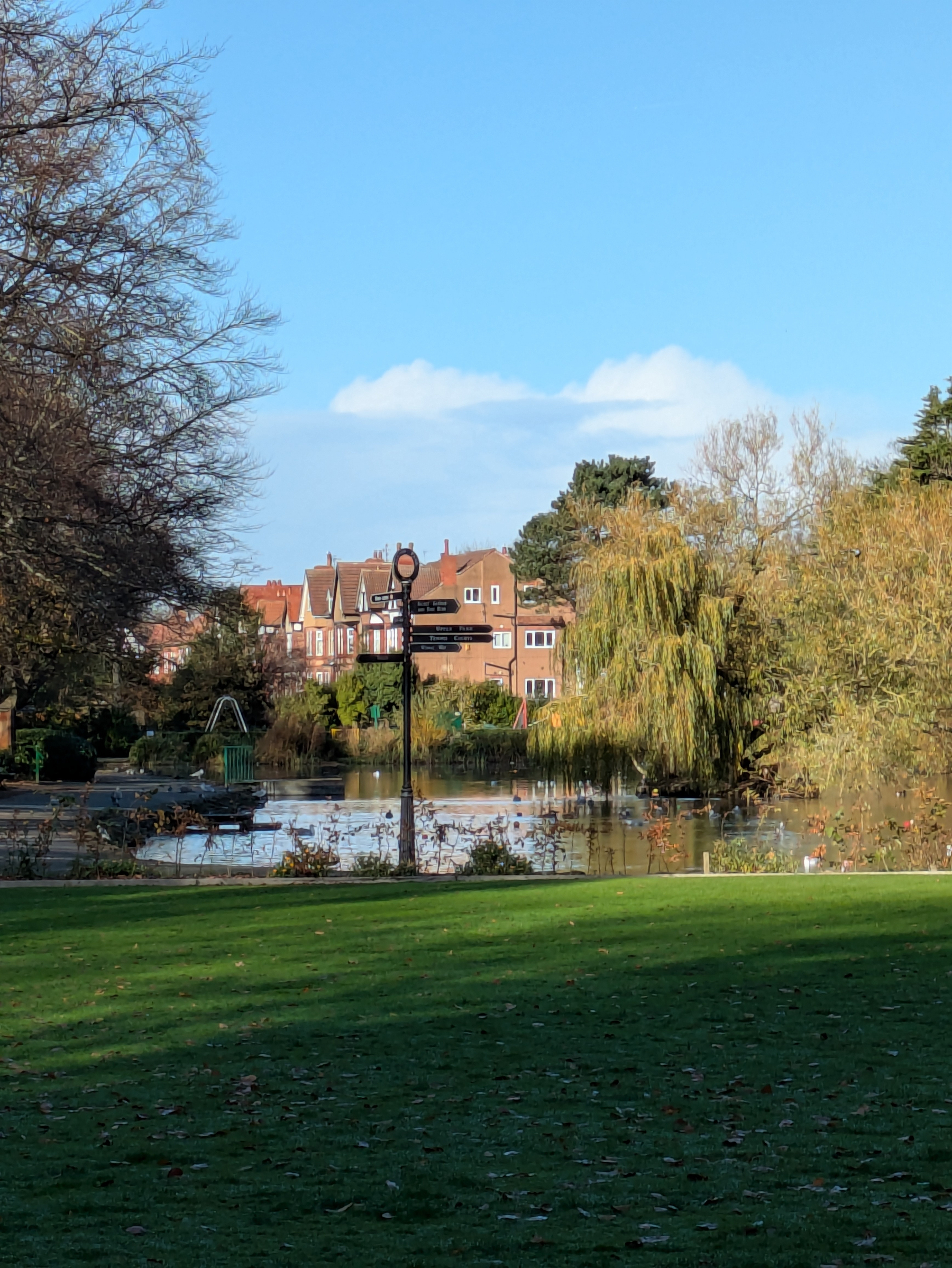 A serene landscape features a small pond surrounded by trees and a few houses in the background on a clear day.