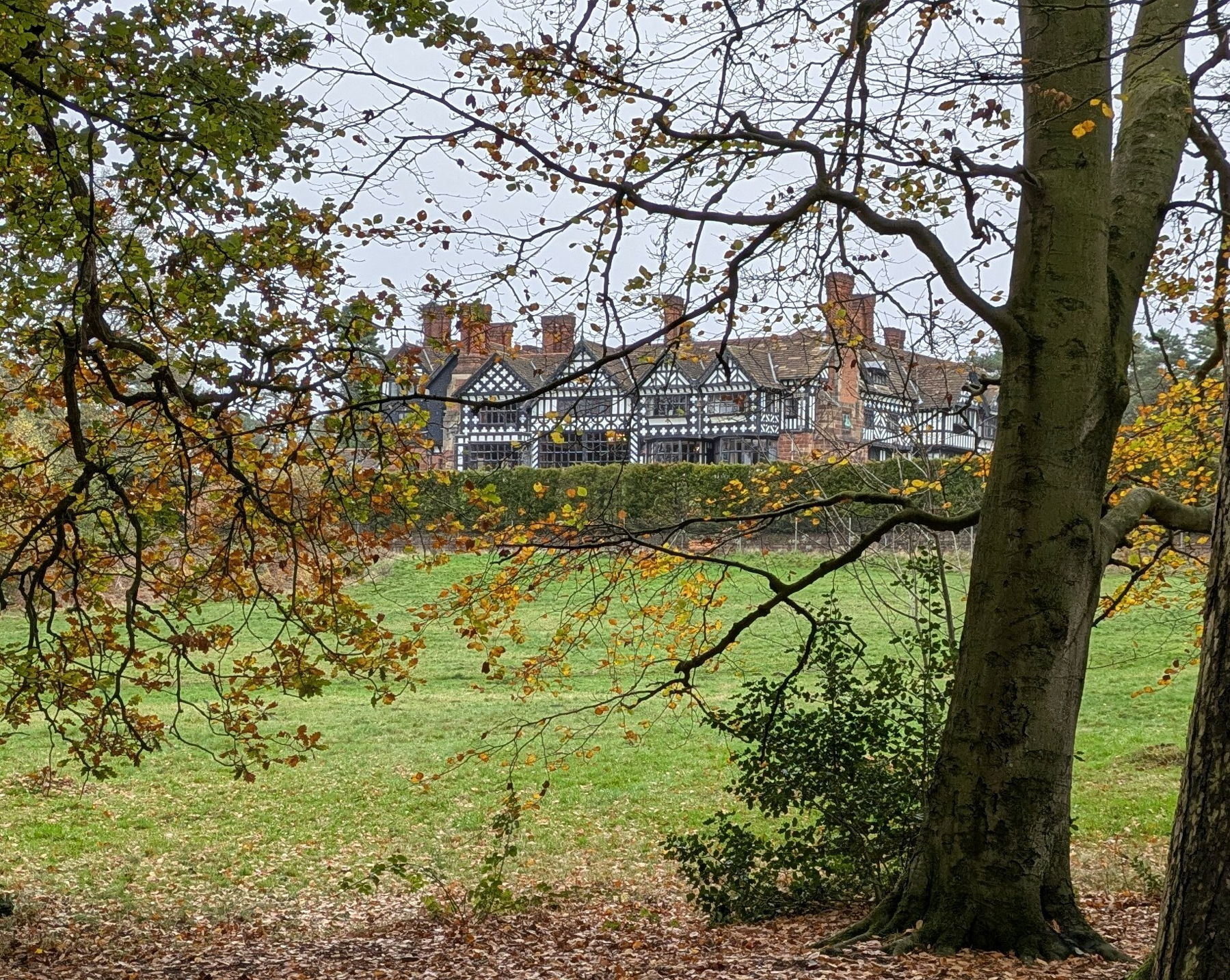 A large Tudor-style building is seen through autumn trees and open grassy fields.