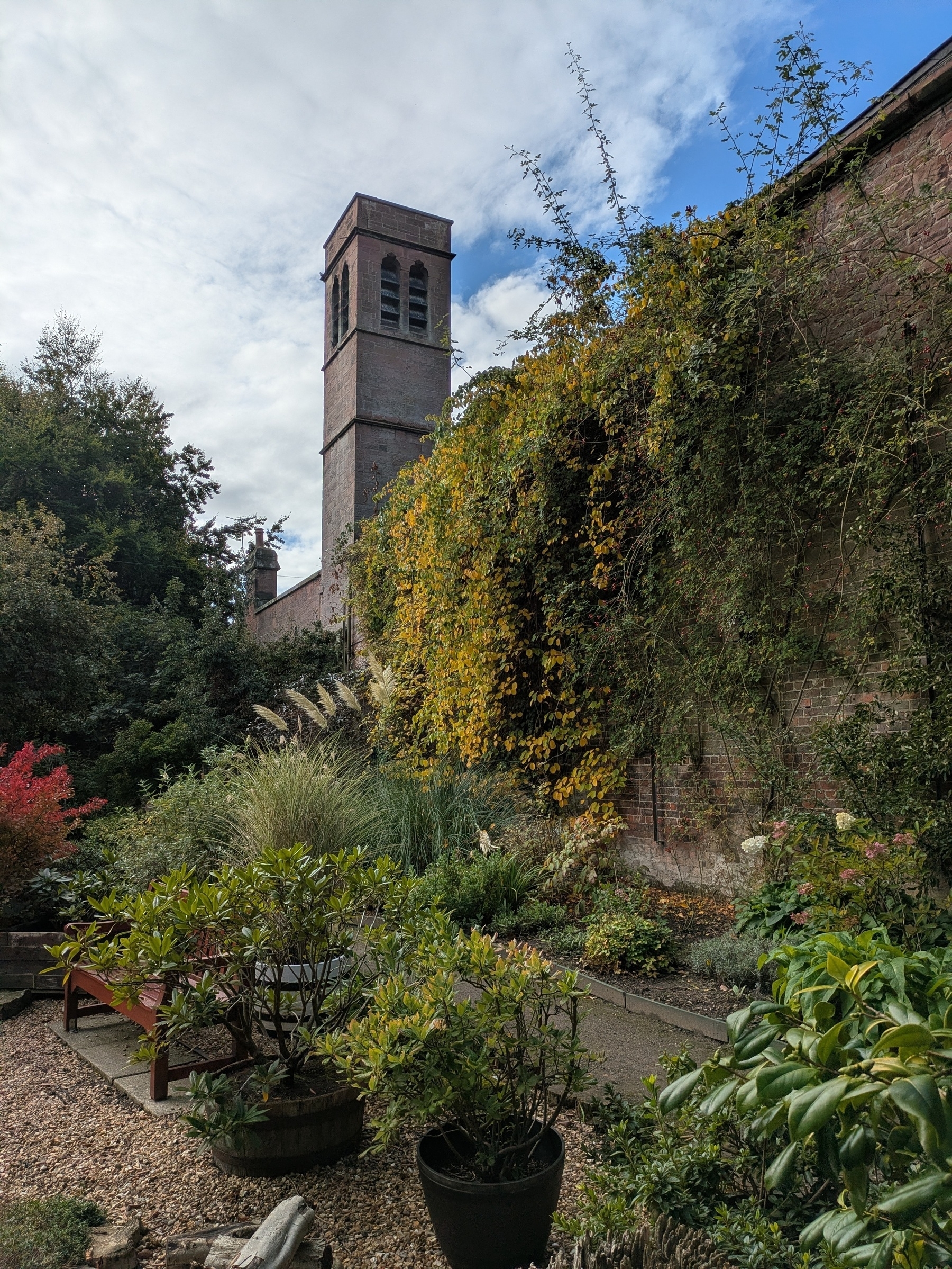 A garden with various plants and trees is set against a brick wall covered in ivy, with a tall tower visible in the background.