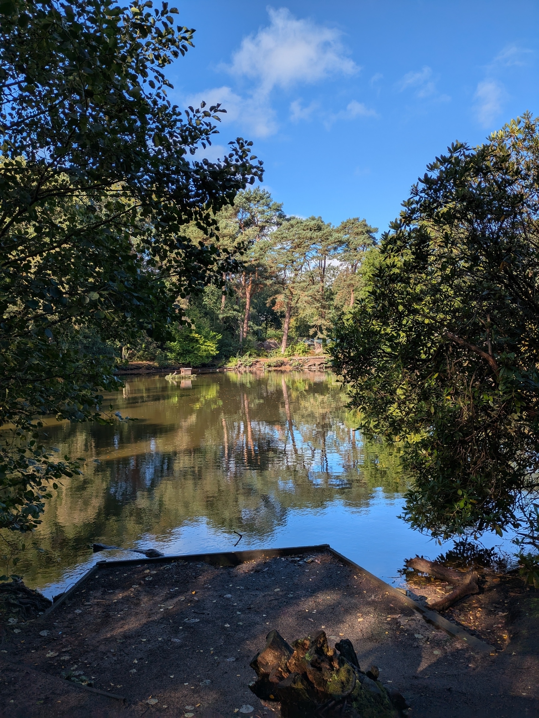 Small jetty in foreground with lake beyond surrounded by trees reflected in water. 