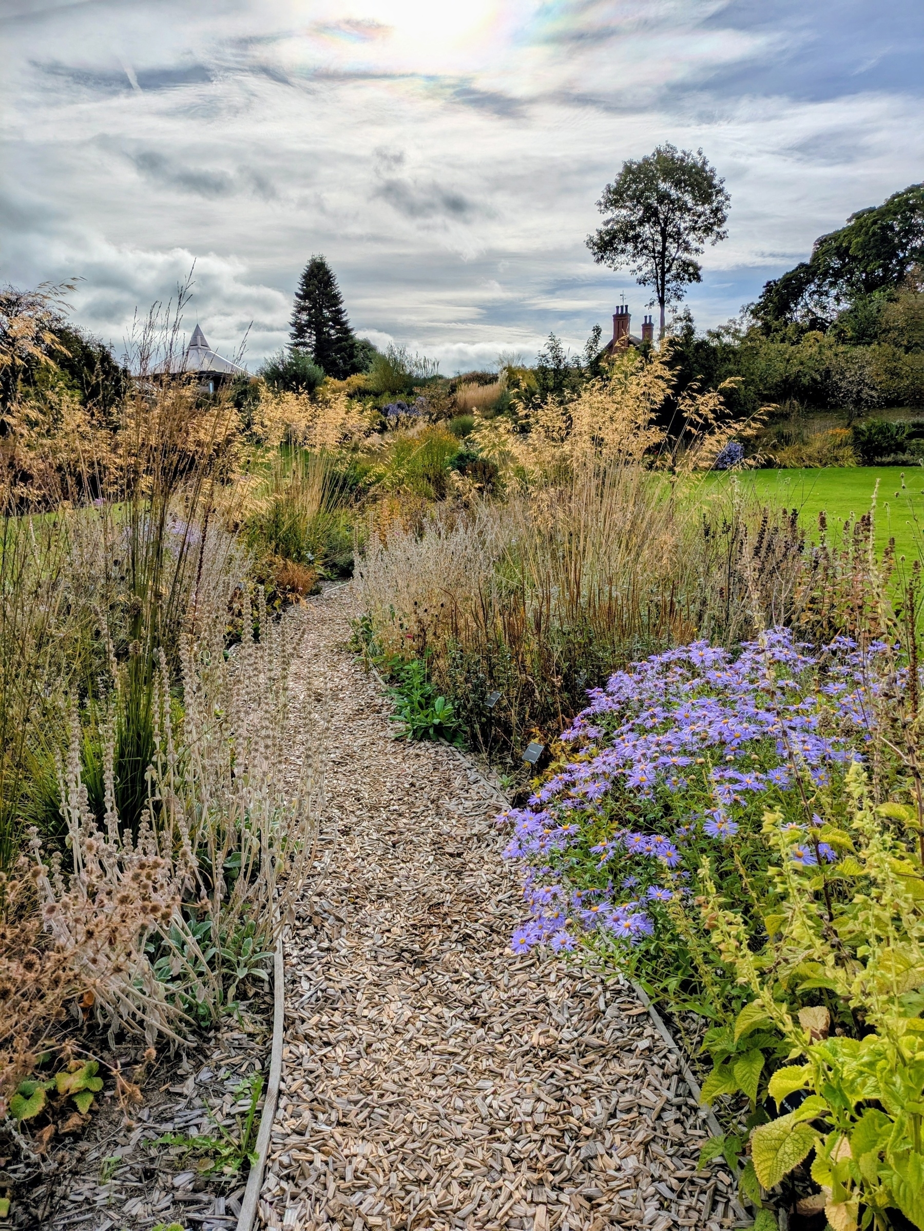 A gravel path winds through a garden with various plants and flowers under a cloudy sky.