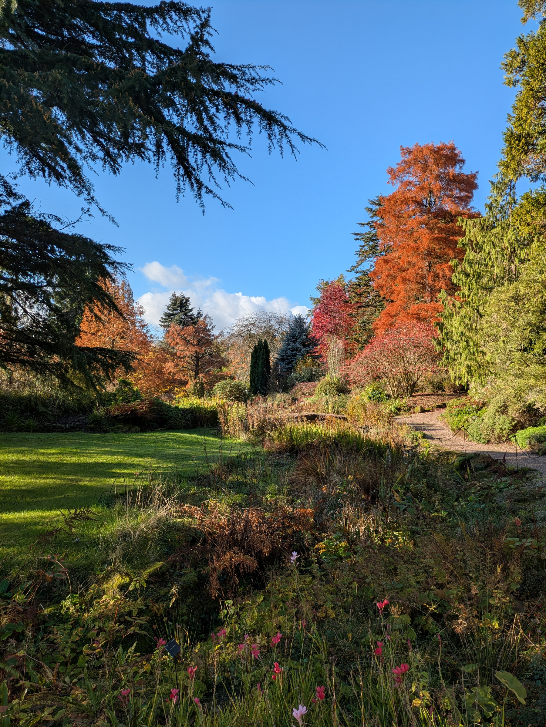 A vibrant garden features a mix of colorful autumn trees, lush greenery, and a clear blue sky.