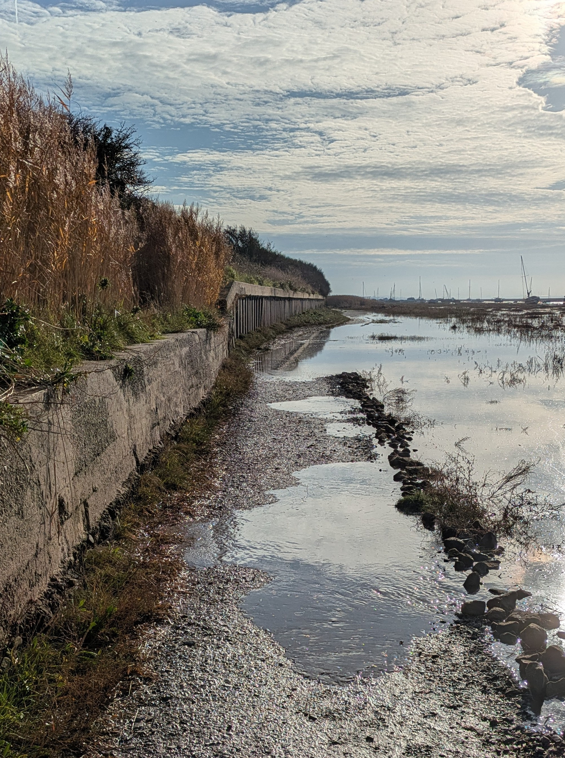 A peaceful coastal scene features a narrow path alongside water with a rocky border and tall grasses under a partly cloudy sky.