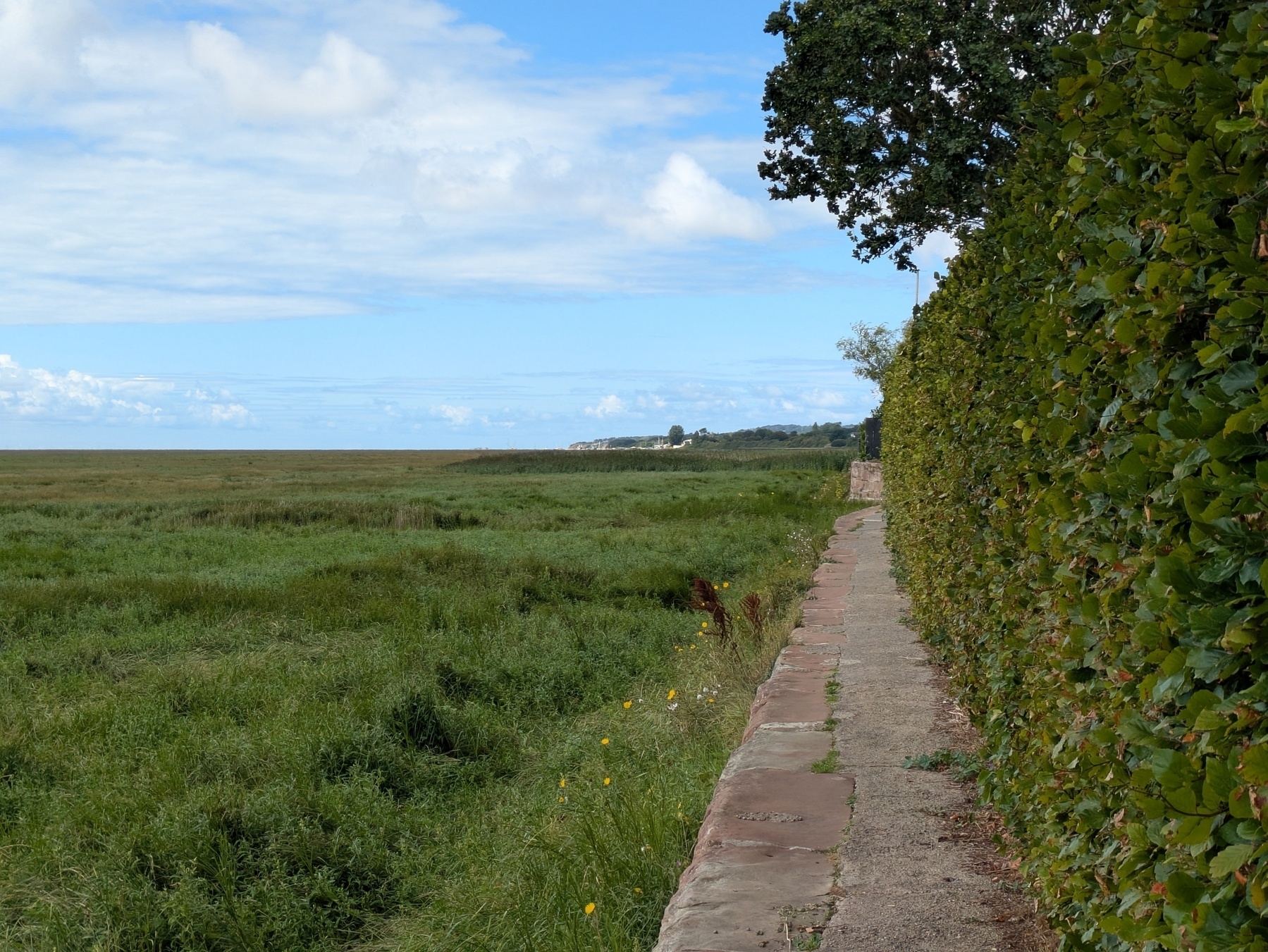 A narrow stone path bordered by a tall hedge traverses a grassy marsh under a partly cloudy sky.