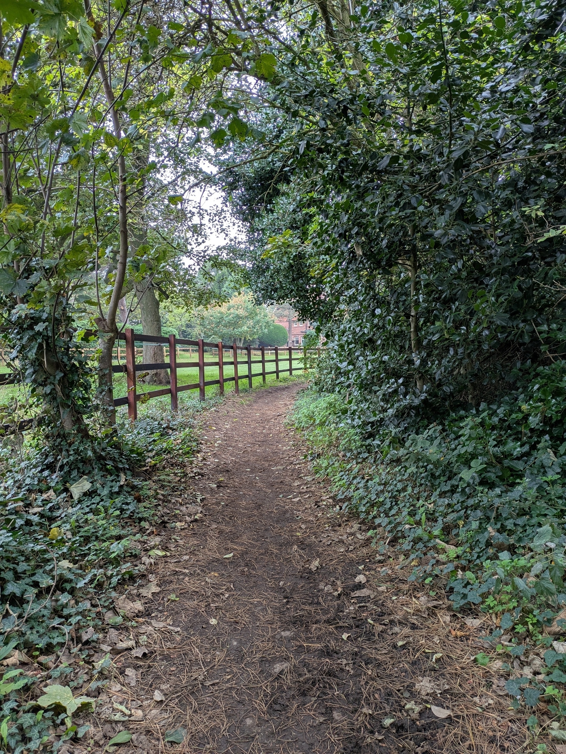 A narrow, tree-lined path winds through a green landscape alongside a wooden fence.