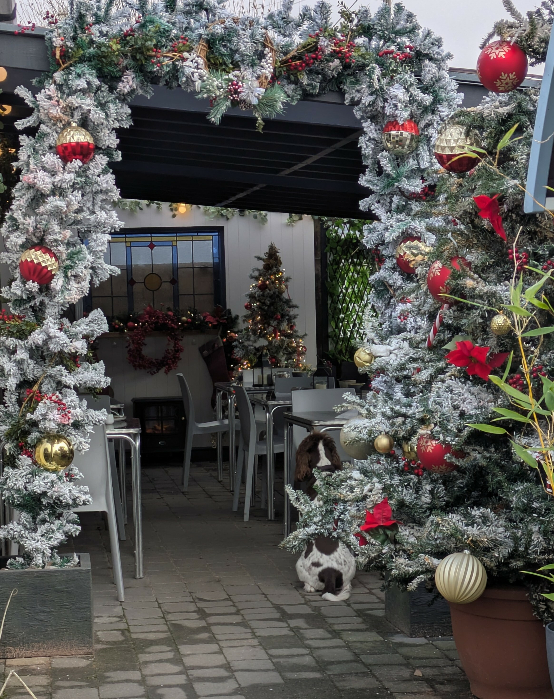 A festive outdoor dining area is adorned with snow-covered Christmas decorations and trees, with a dog sitting near the entrance.