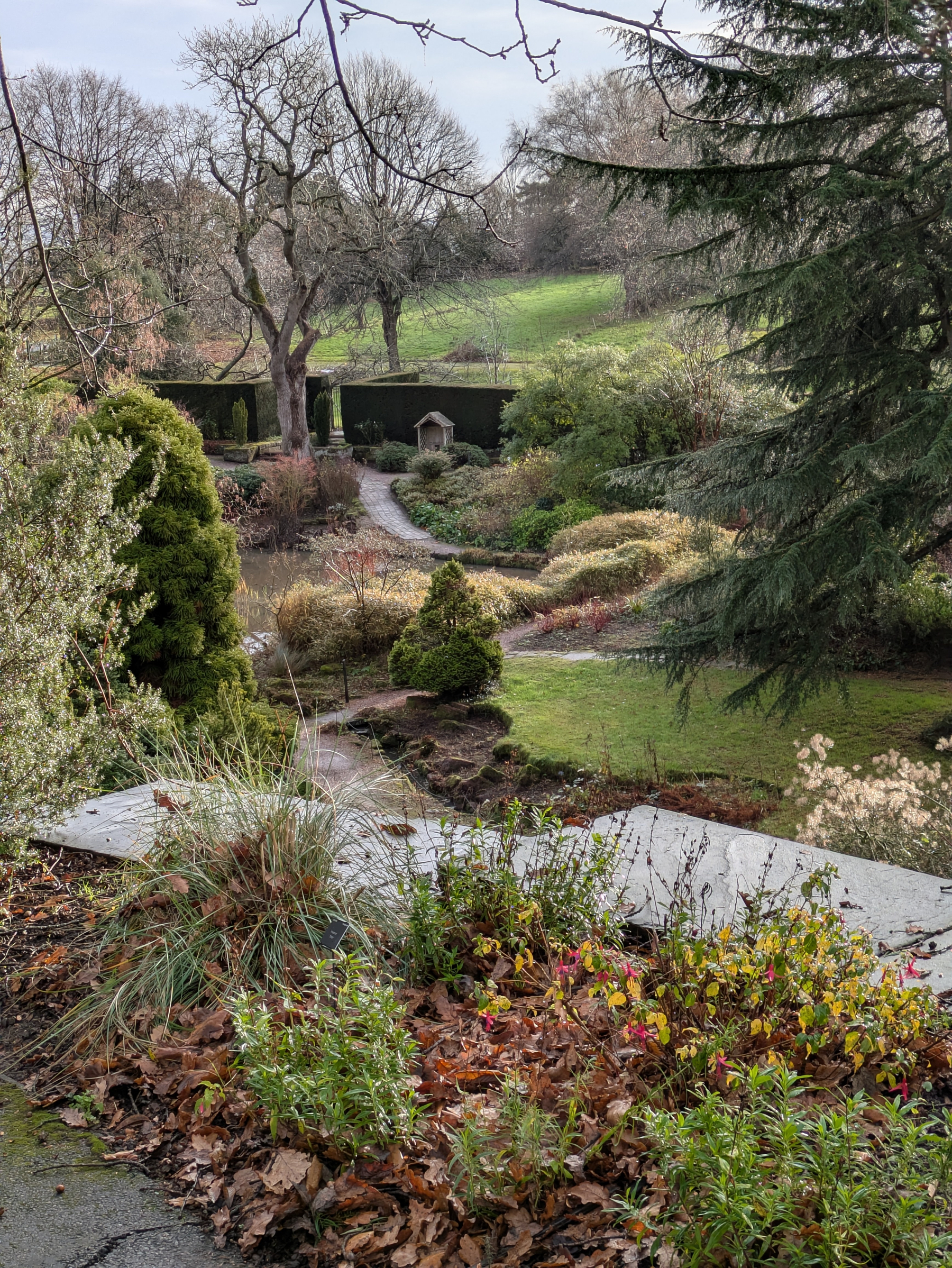 A serene garden pathway winds through lush greenery and colorful plants, leading to an archway with a backdrop of bare and evergreen trees.