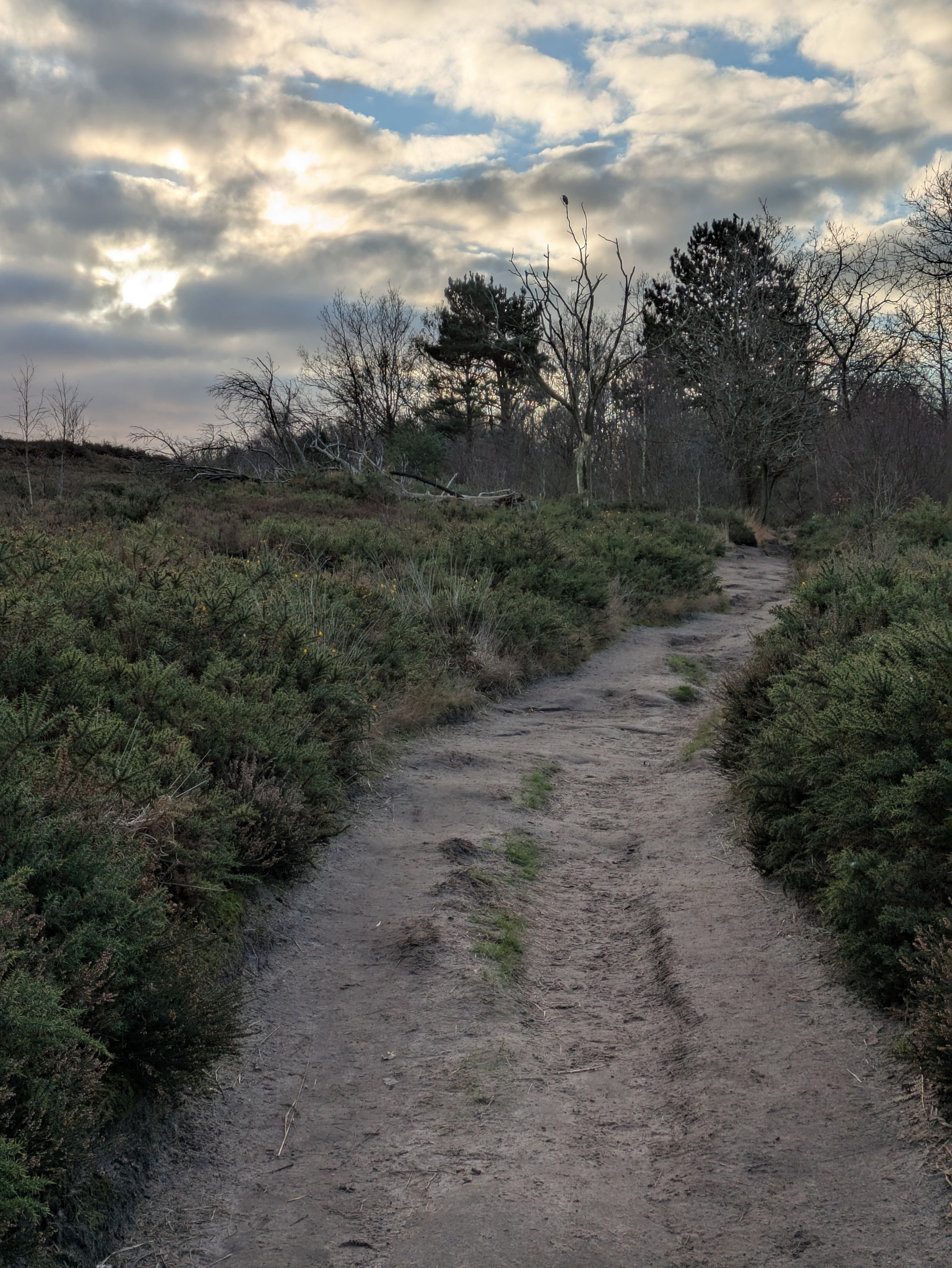 A dirt path winds through a natural landscape of shrubs and trees under a cloudy sky with the sun partially visible.
