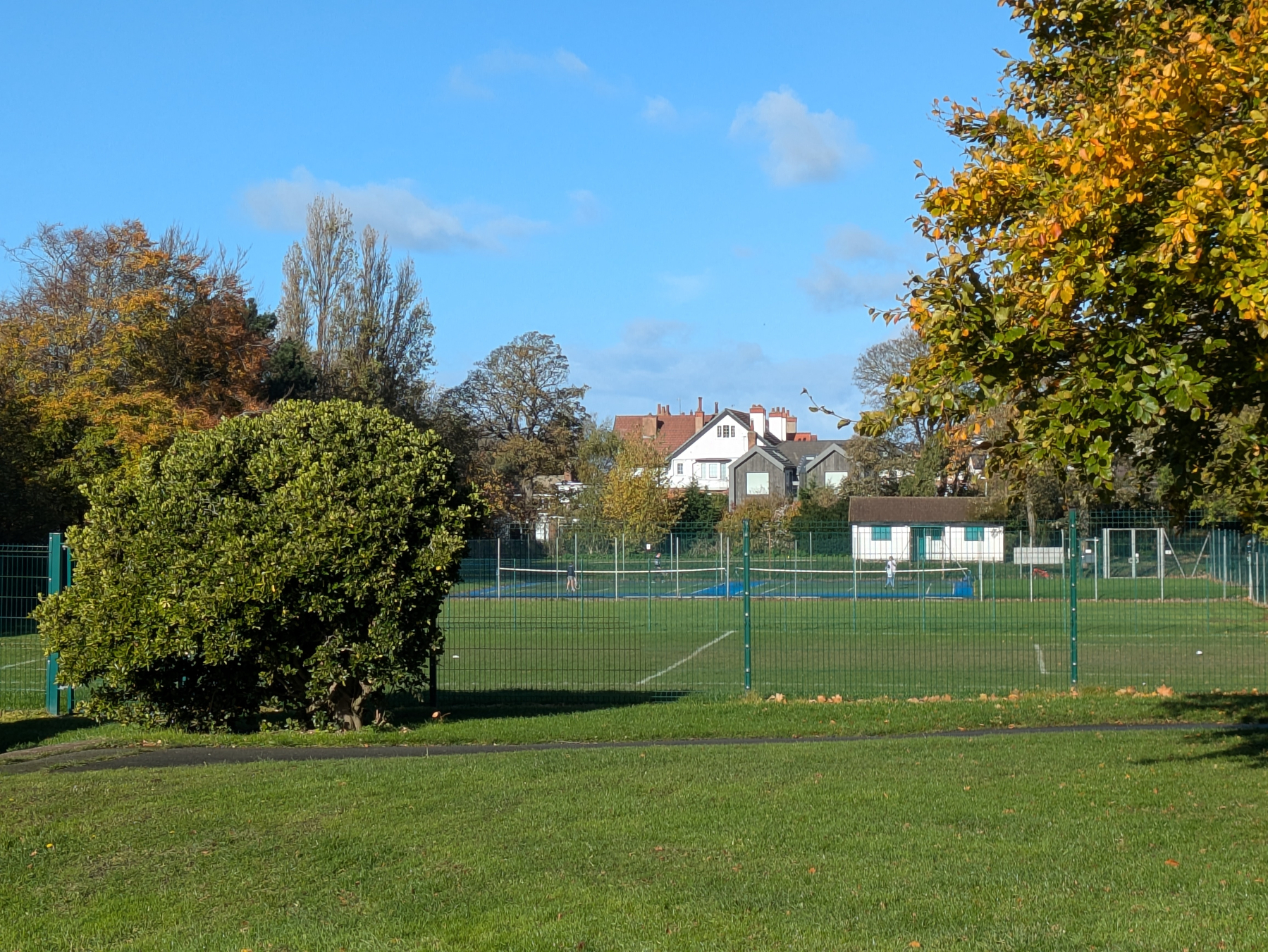 A fenced sports field is surrounded by trees with houses visible in the background.