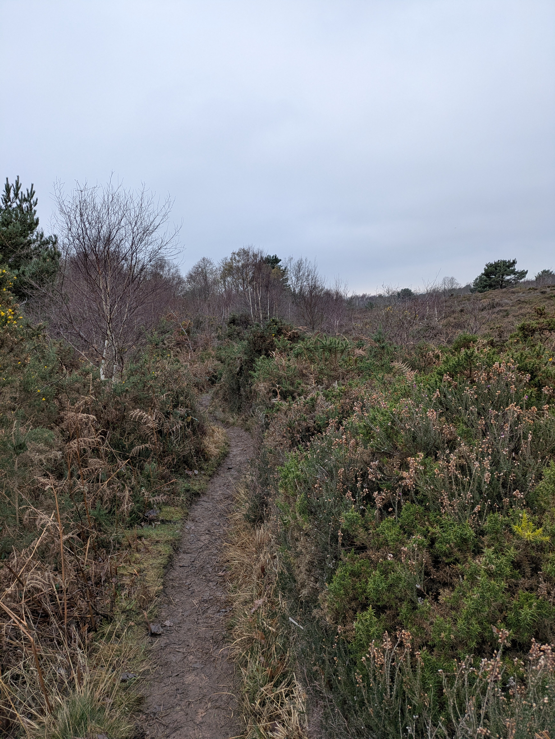 A narrow dirt path winds through a grassy and bushy landscape under a cloudy sky.