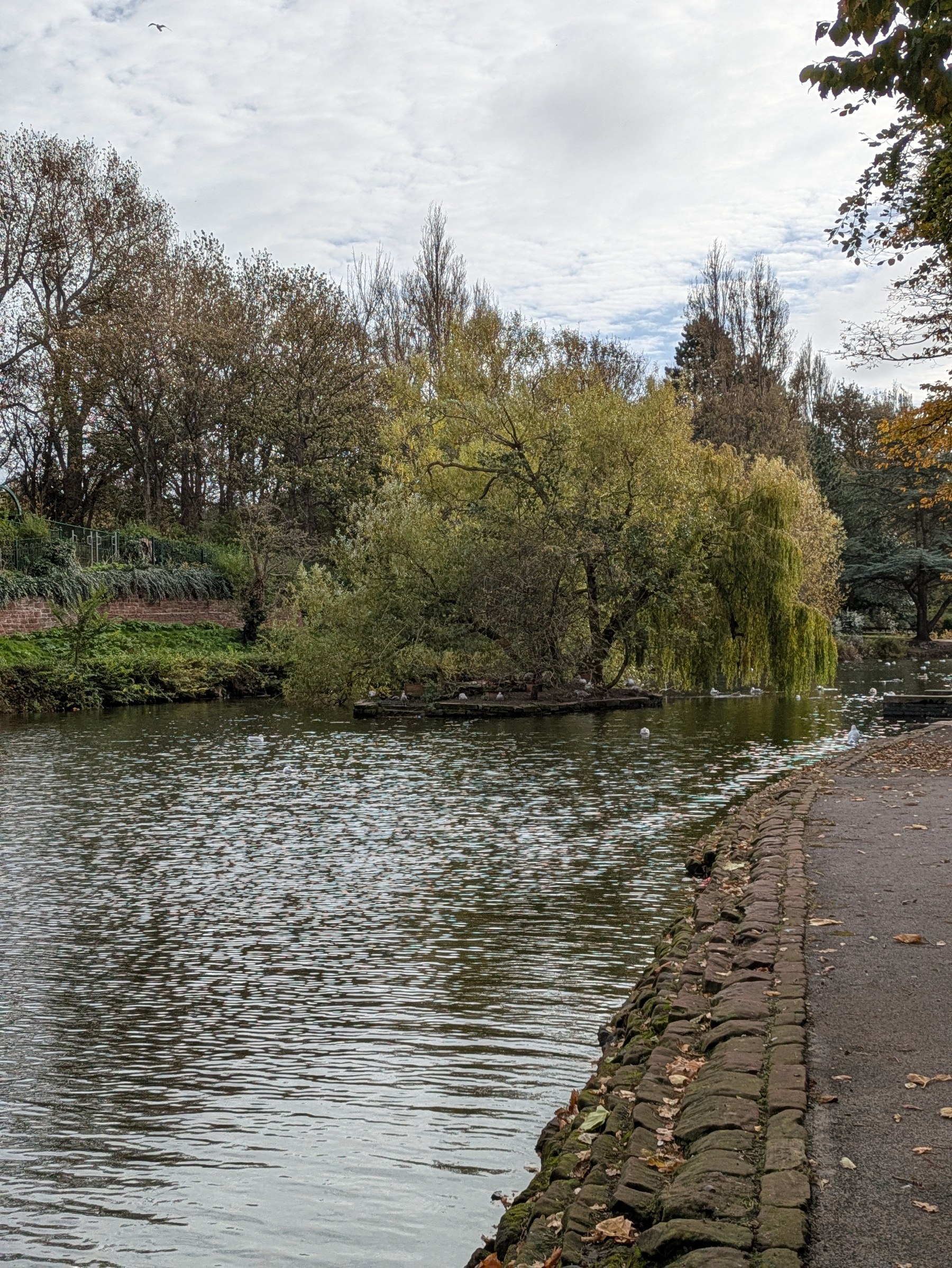 A peaceful riverside scene features a tree extending over the water, surrounded by path-lined edges and autumn foliage.