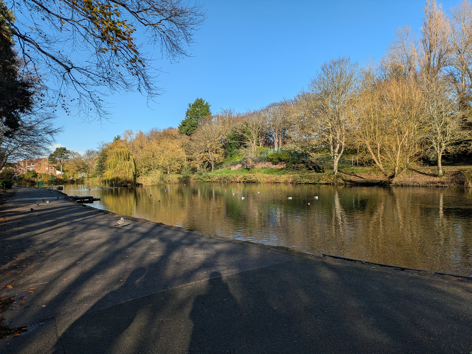 A peaceful park scene features a reflective pond surrounded by trees under a clear blue sky, with shadows cast on the path.
