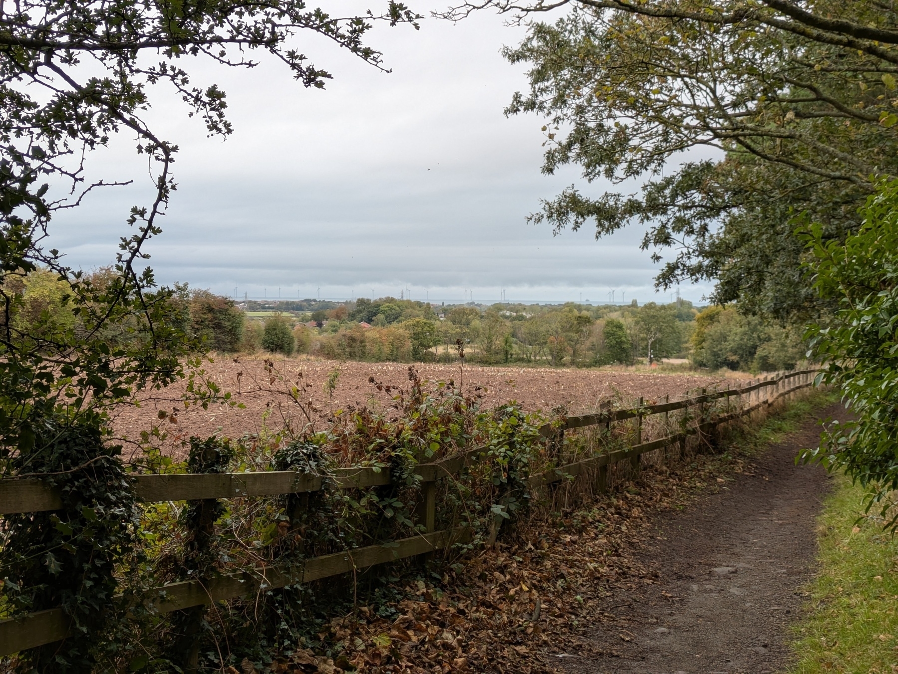 A dirt path runs alongside a wooden fence with foliage, overlooking a field of stubble and distant landscape under a cloudy sky.