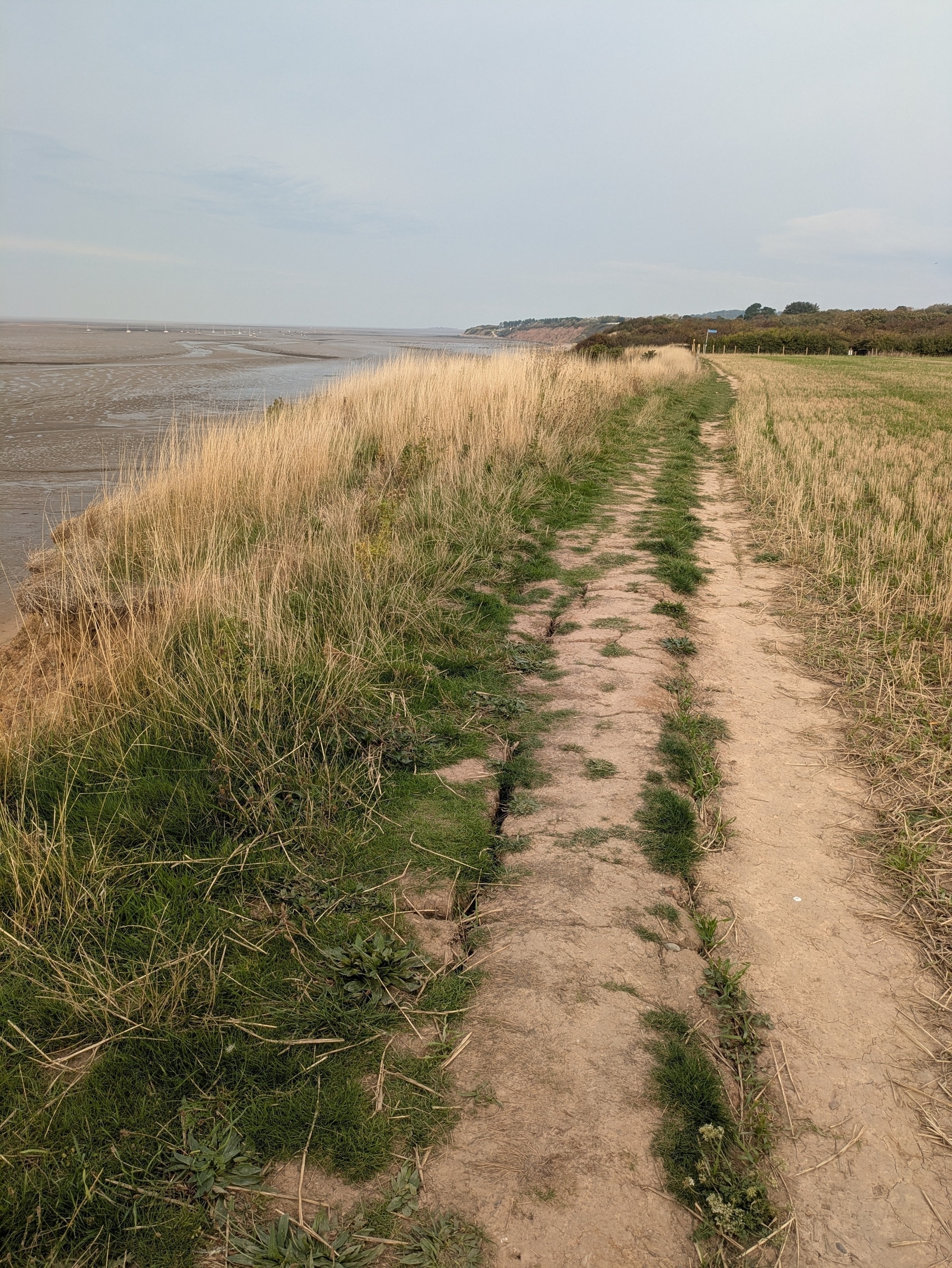 A narrow dirt path winds through tall grass alongside a coastal landscape.