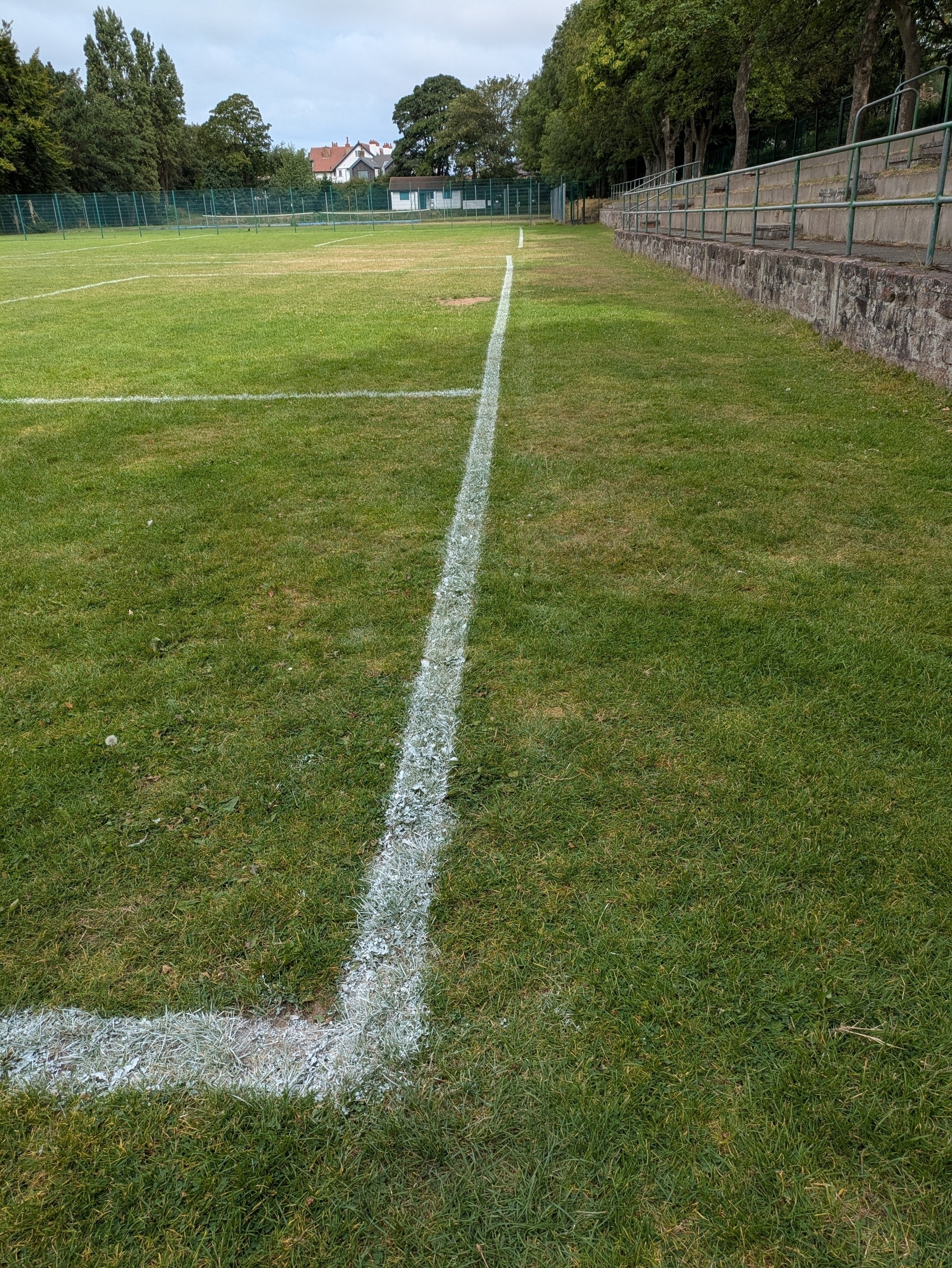 A grassy sports field with white boundary lines is adjacent to a stone wall with a railing, surrounded by trees and a fence.