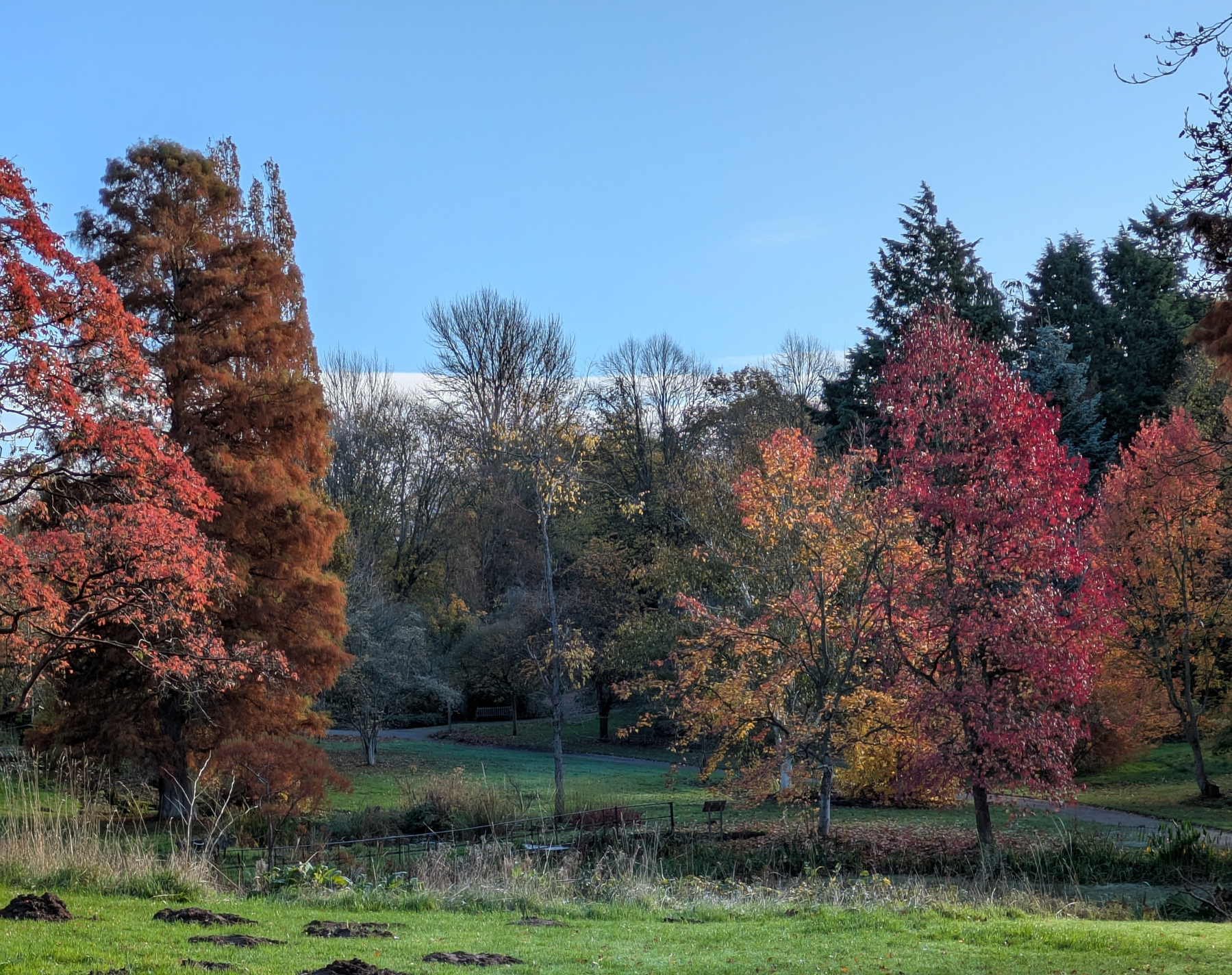 A vibrant autumn landscape features colorful trees in shades of red, orange, and green under a clear blue sky.