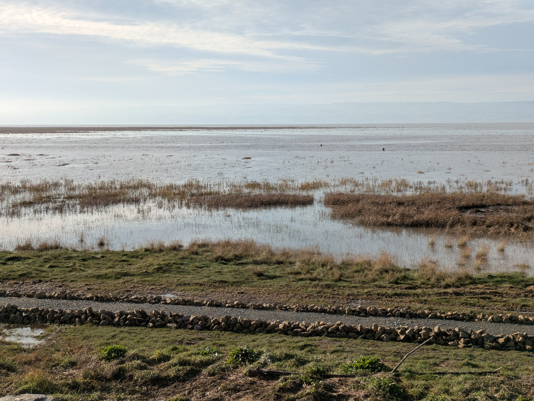 A coastal landscape features a marshy wetland with low-lying vegetation and a cloudy sky.