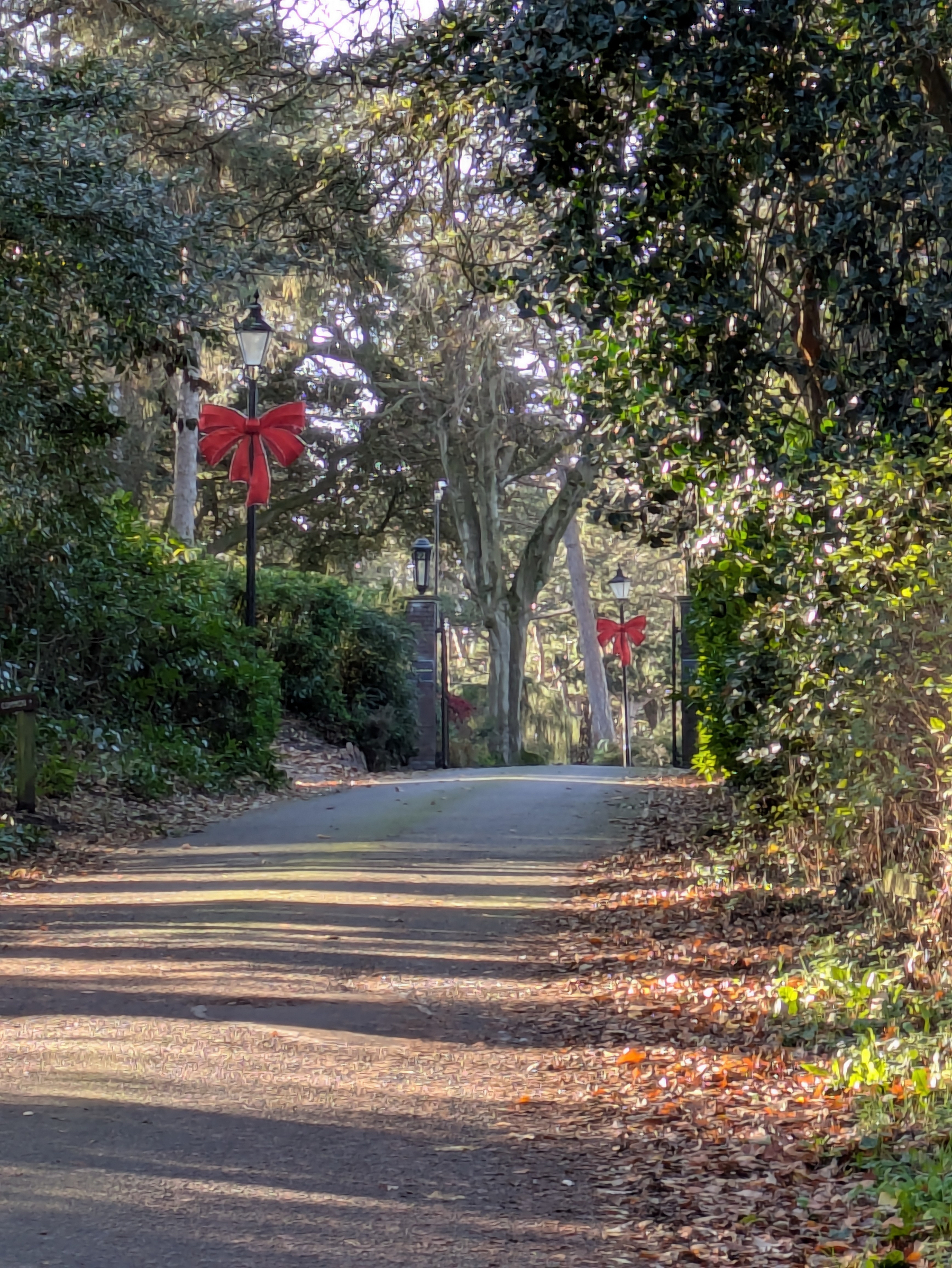 A path lined with trees and bushes is adorned with large red bows on lampposts, creating a festive atmosphere.