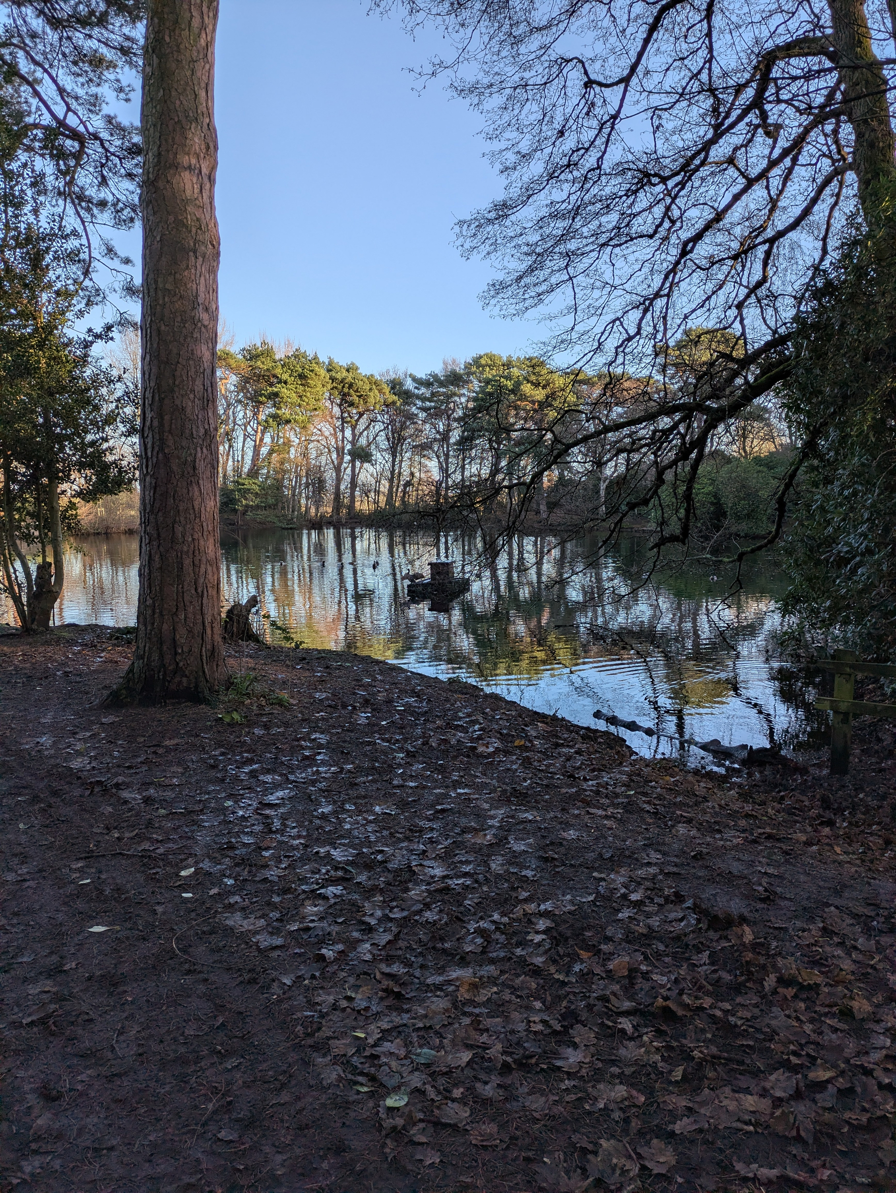A peaceful lakeside scene features trees reflecting in the water under a clear blue sky, with a wooded path in the foreground.