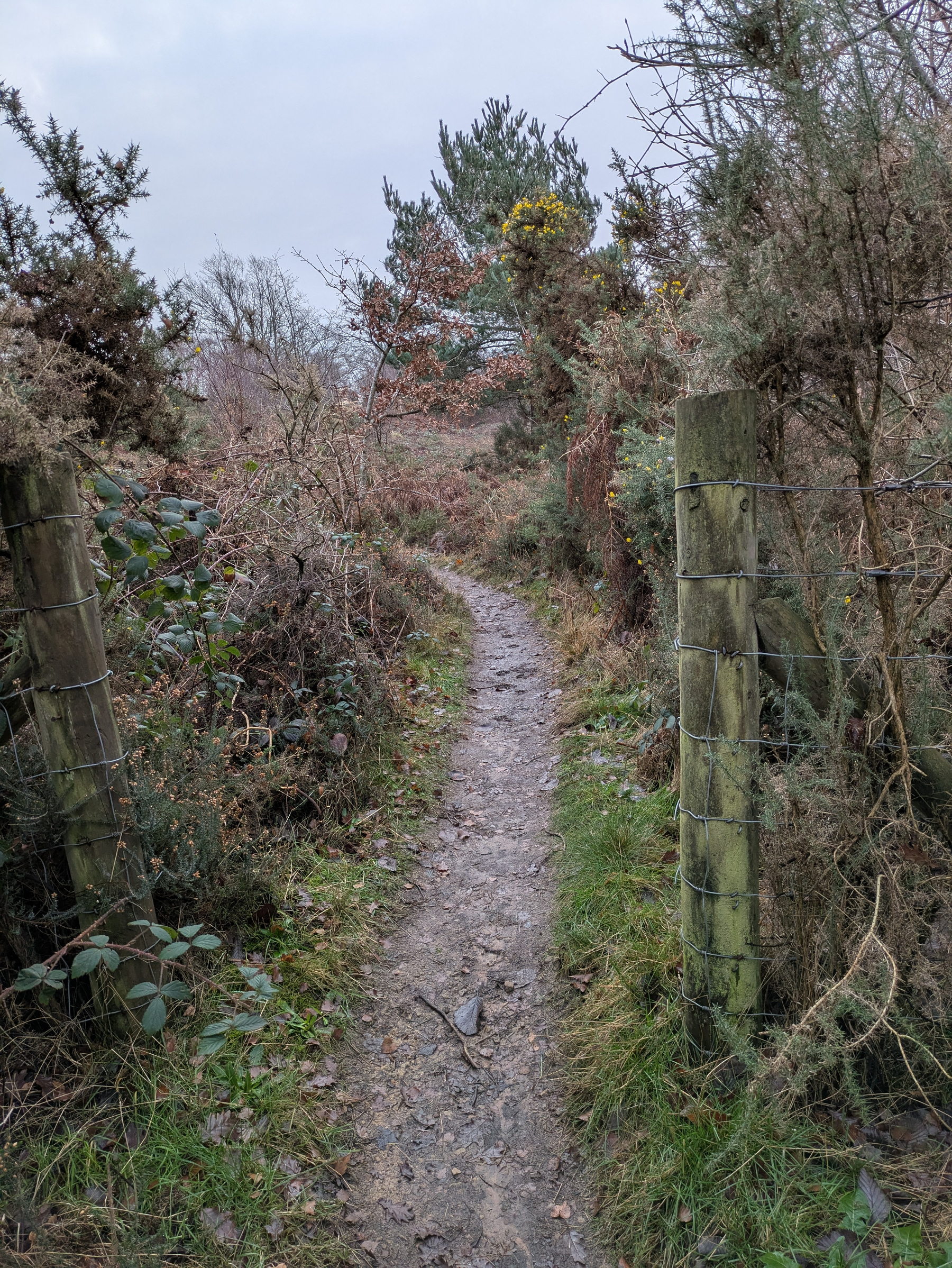 A narrow, winding dirt path leads through a natural landscape of shrubs and trees, flanked by wire-fenced wooden posts.