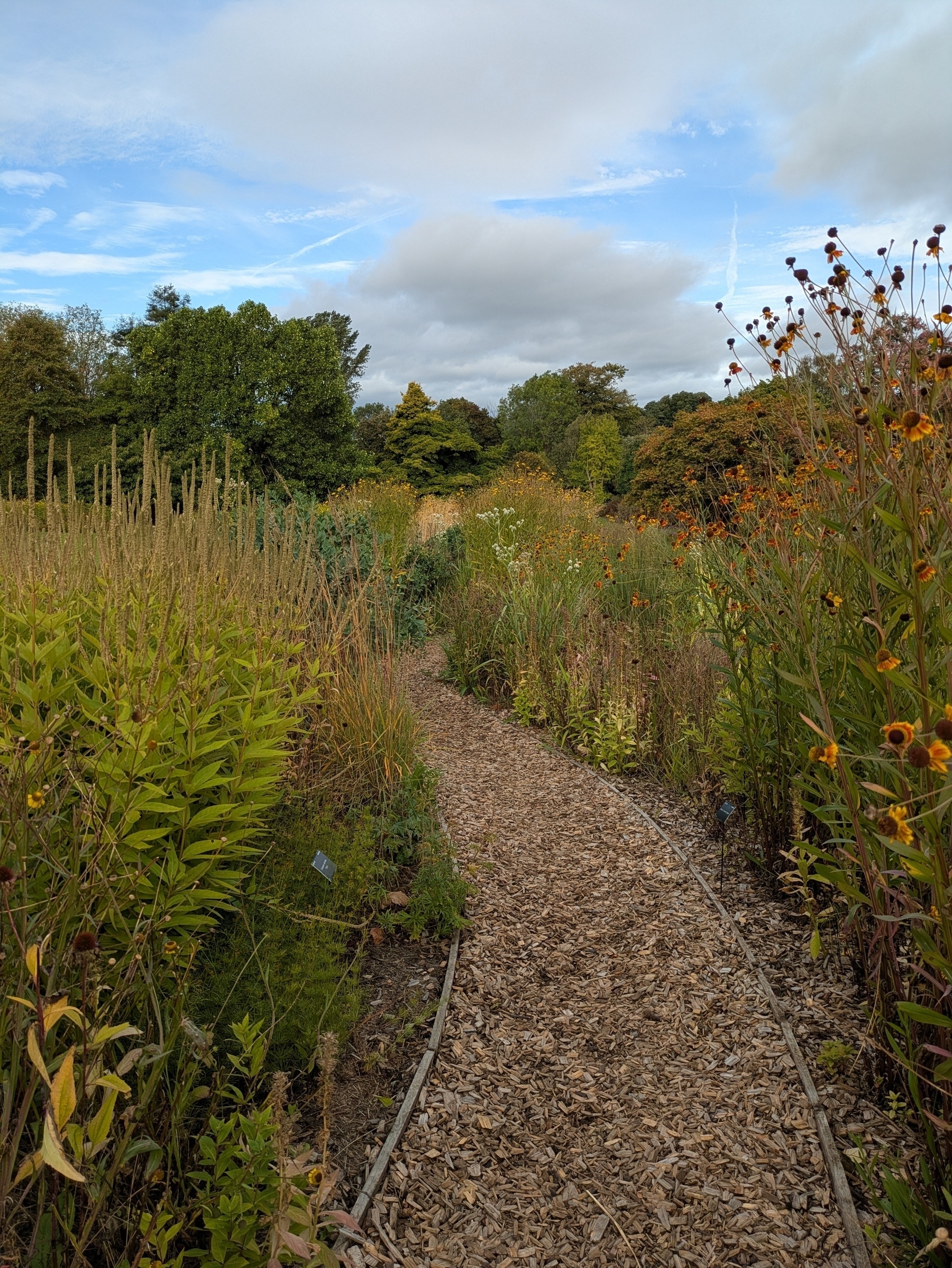 A narrow, wood chip path winds through a vibrant garden filled with tall plants and flowers under a partly cloudy sky.