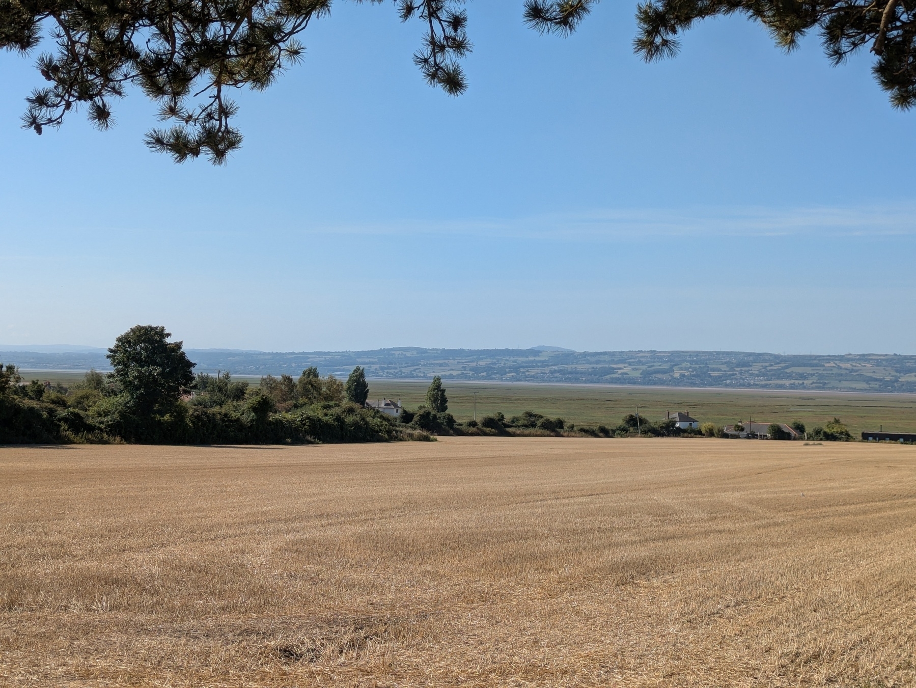 A vast, golden field stretches towards a distant horizon of hills under a clear blue sky, with trees framing the scene.