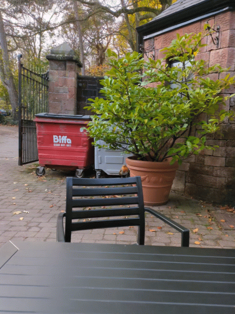 A patio area with a black chair and table is set next to a potted plant, with a red Biffa bin and a stone building in the background. A robin poses briefly, then flies away. 