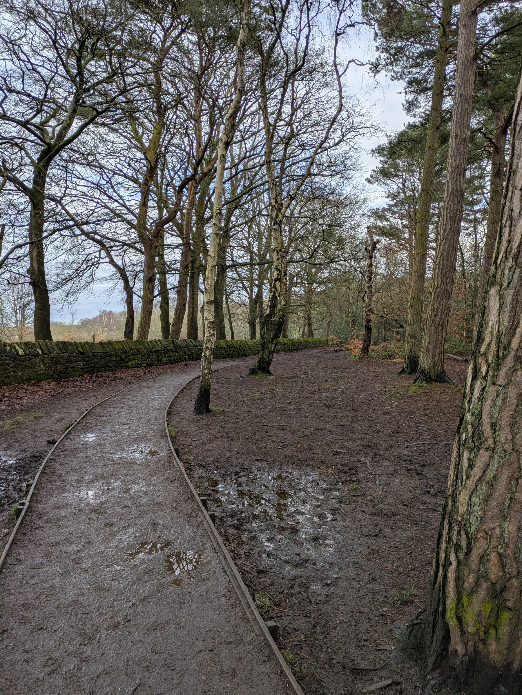 A winding path in a forested area is bordered by bare trees and a stone wall, with patches of mud and puddles on the ground.