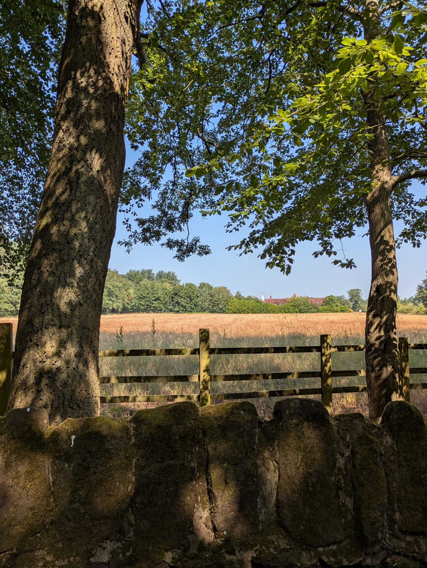 A serene countryside scene features a wooden fence, a stone wall, tall trees with leafy branches, and an open field with distant greenery under a clear blue sky.
