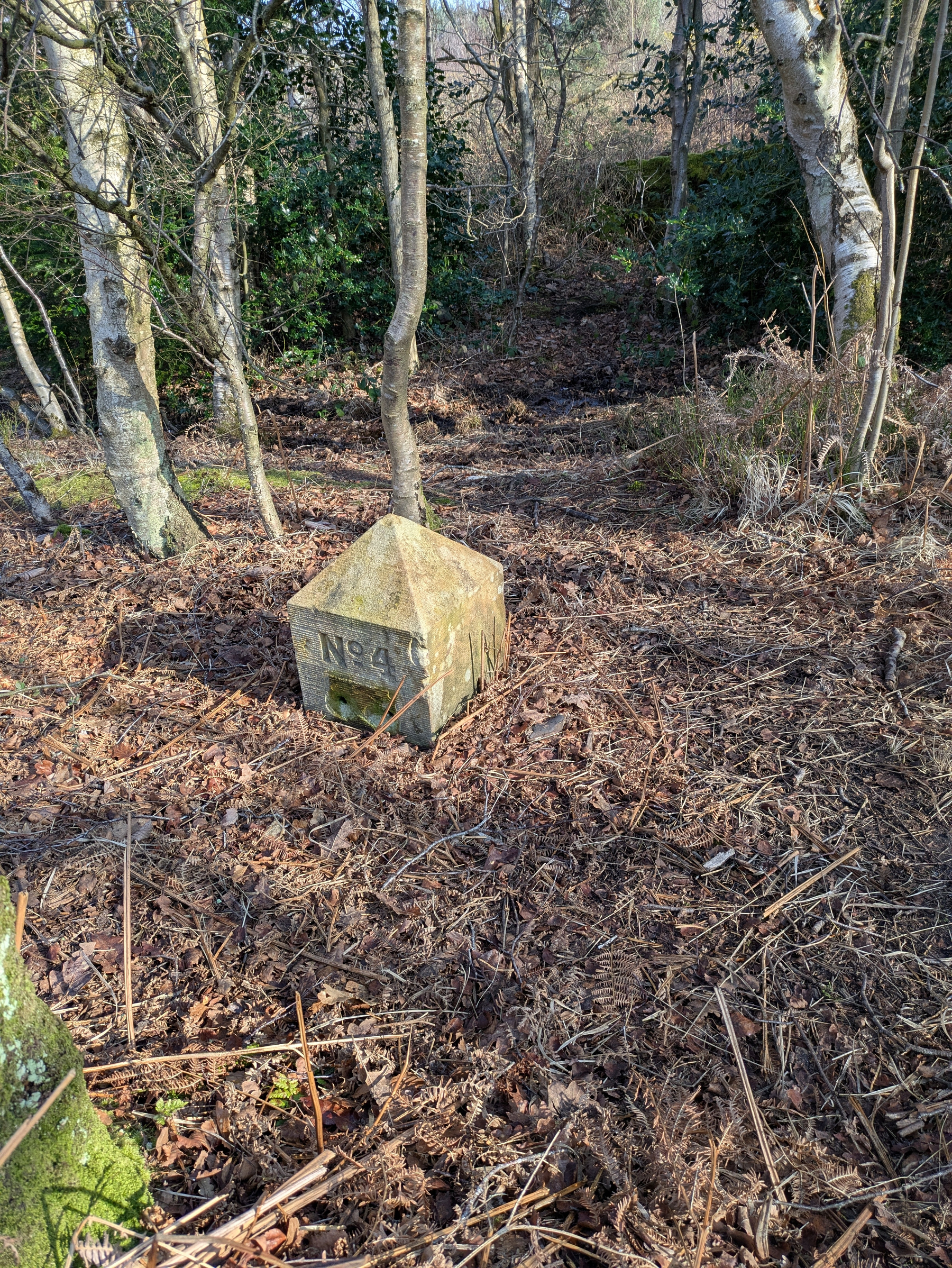 A small, weathered stone structure labeled No4 is situated in a forested area with surrounding trees and leaf-covered ground.