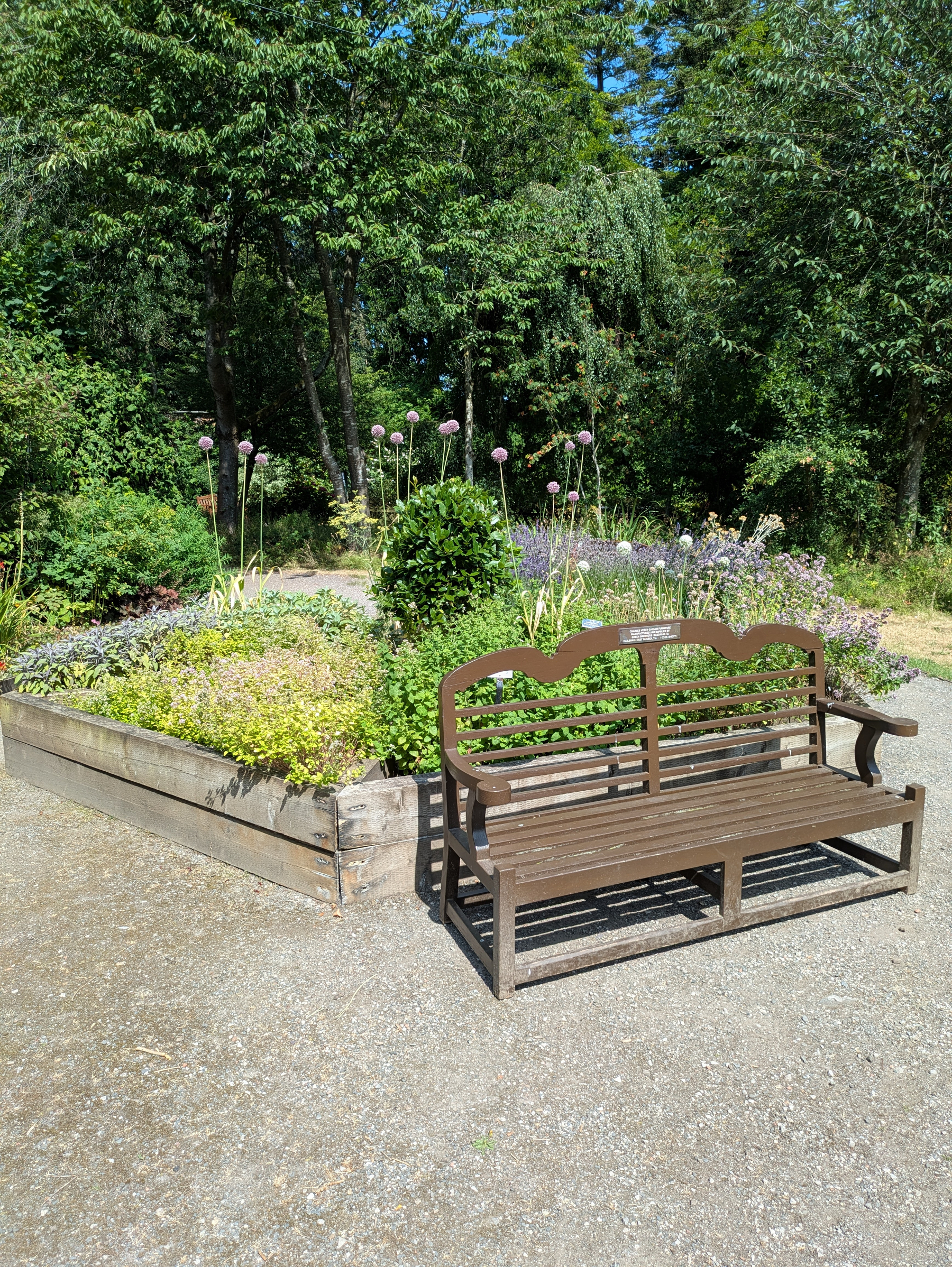 A wooden bench sits beside a raised garden bed filled with various plants and flowers under the shade of tall trees.