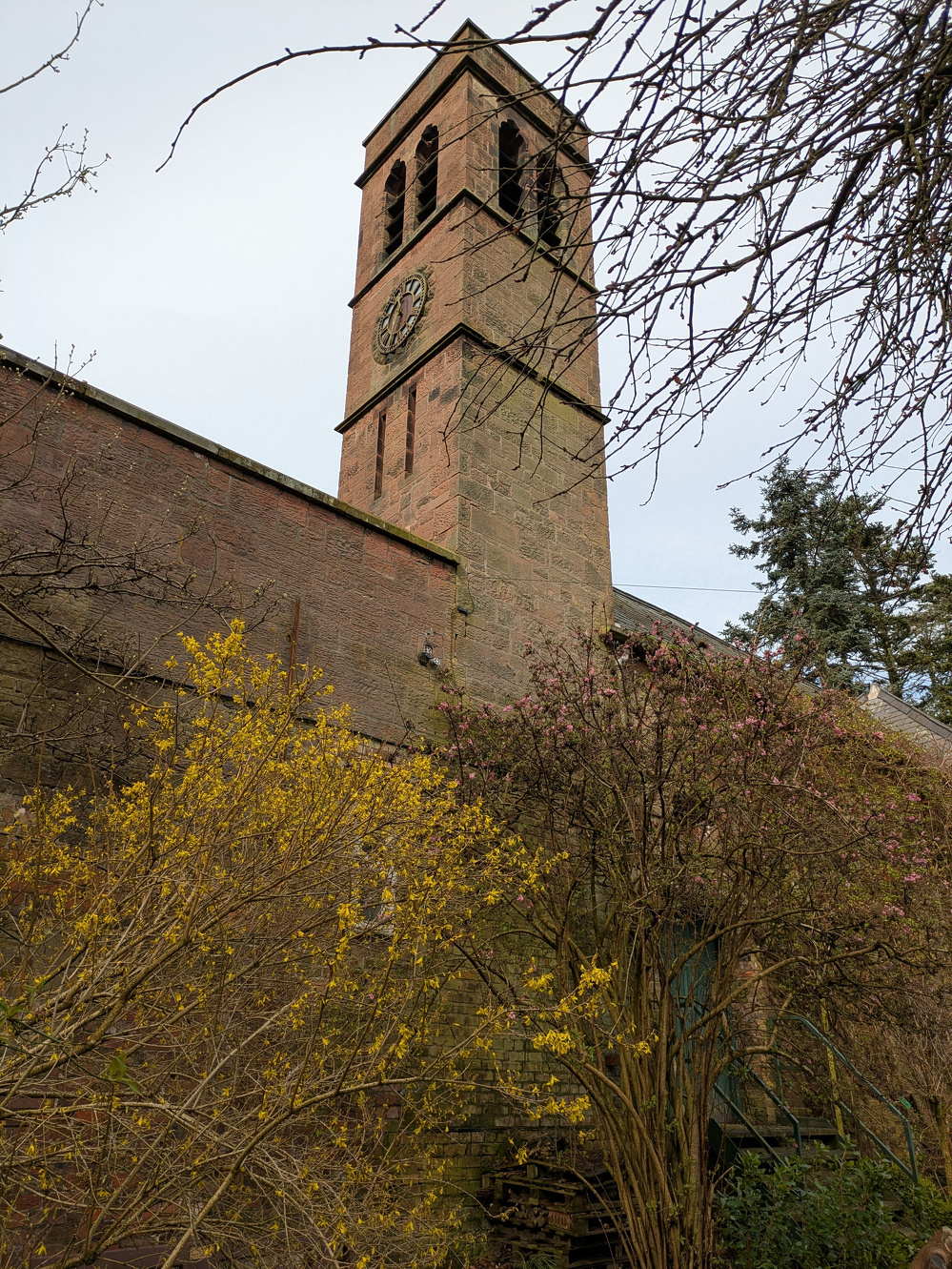 A brick clock tower rises above a building, surrounded by yellow and pink flowering trees.