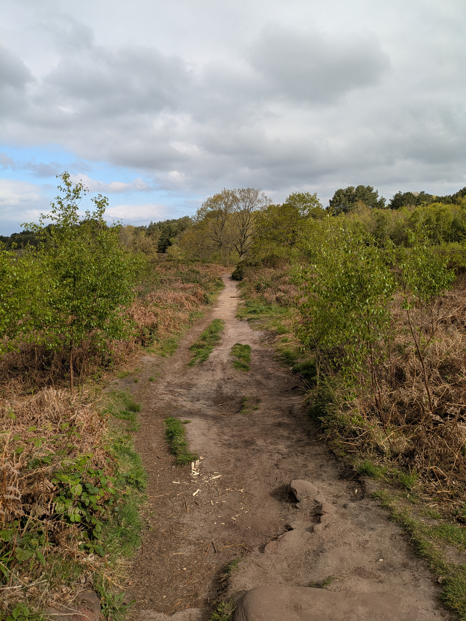 A dirt pathway winds through a natural landscape of sparse grass and bushes under a cloudy sky.