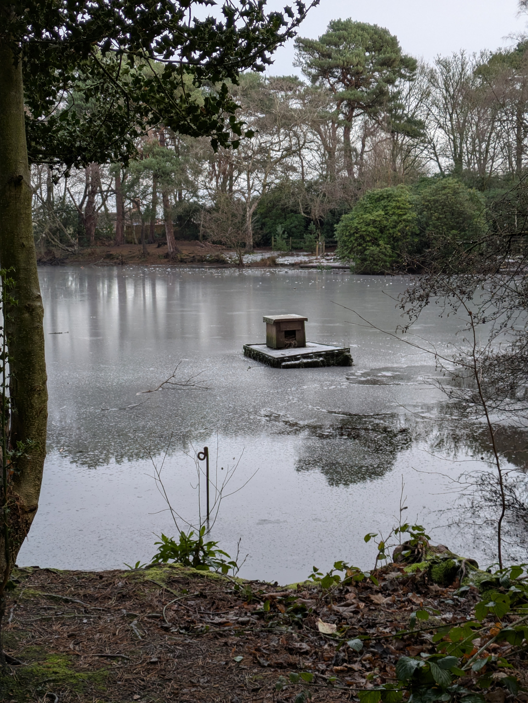 A small, frozen pond is surrounded by trees, with a wooden structure on a platform in the center.