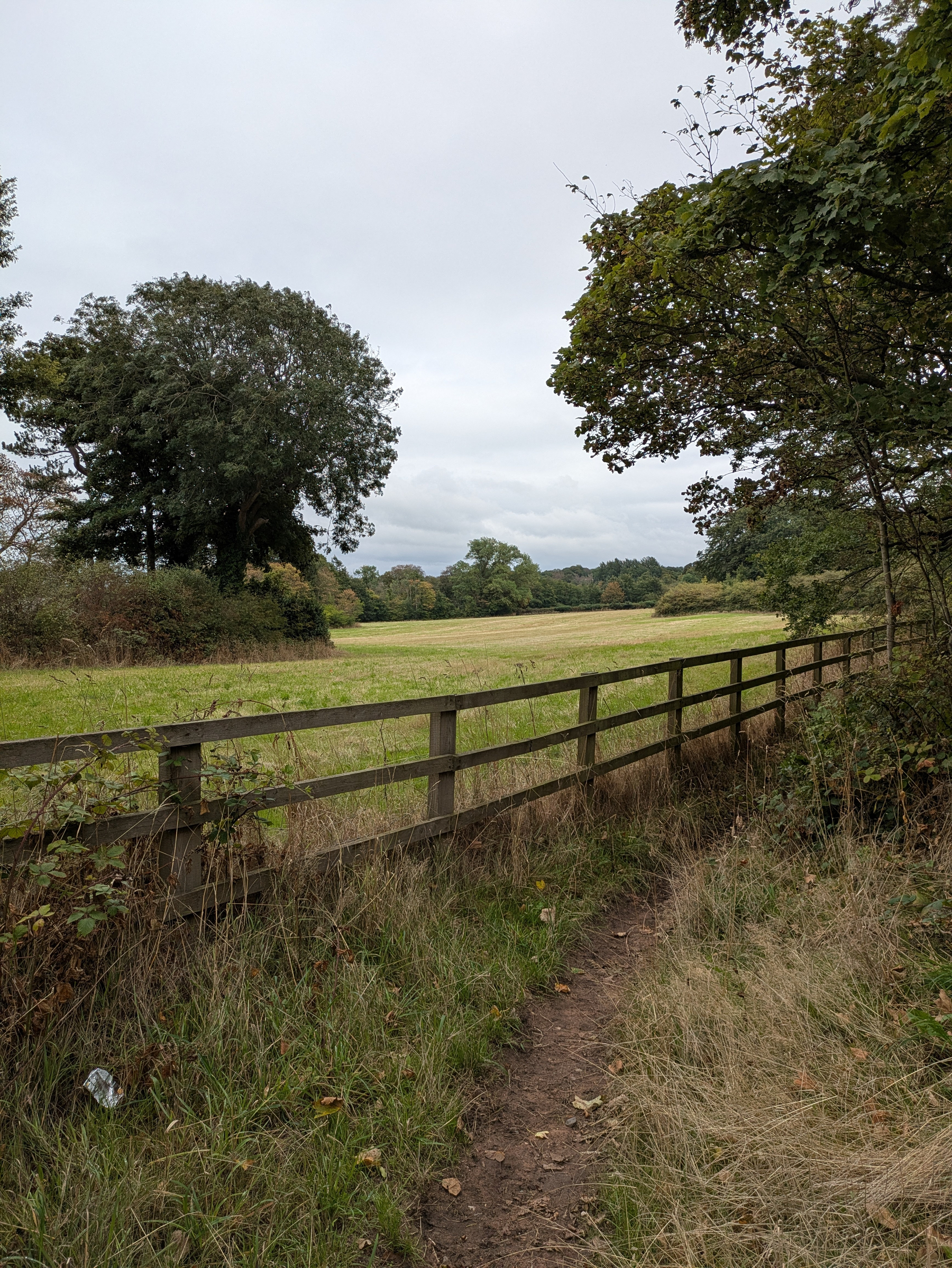 A narrow dirt path runs alongside a wooden fence bordering a grassy field with trees under an overcast sky.